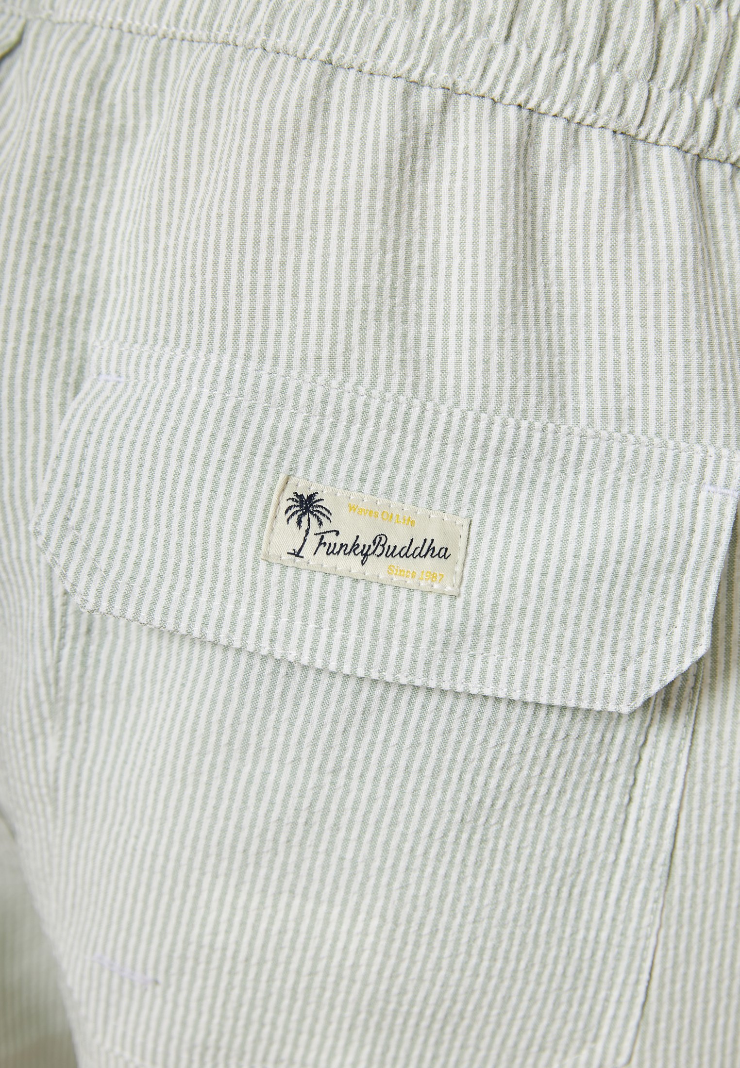 Men's Swim Shorts Funky Buddha Green