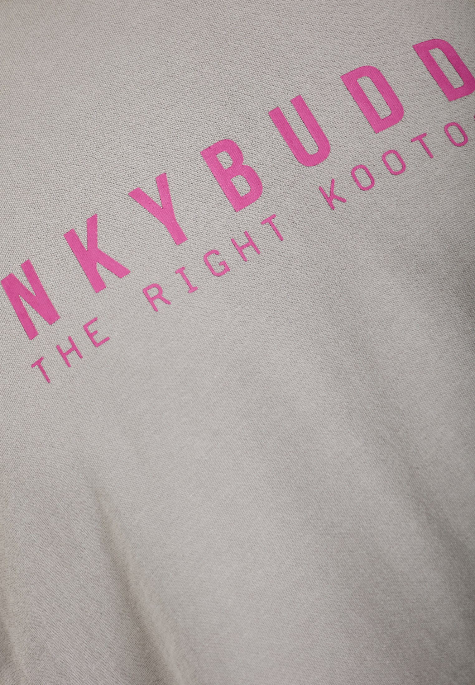 Men's T-Shirts Funky Buddha Gray