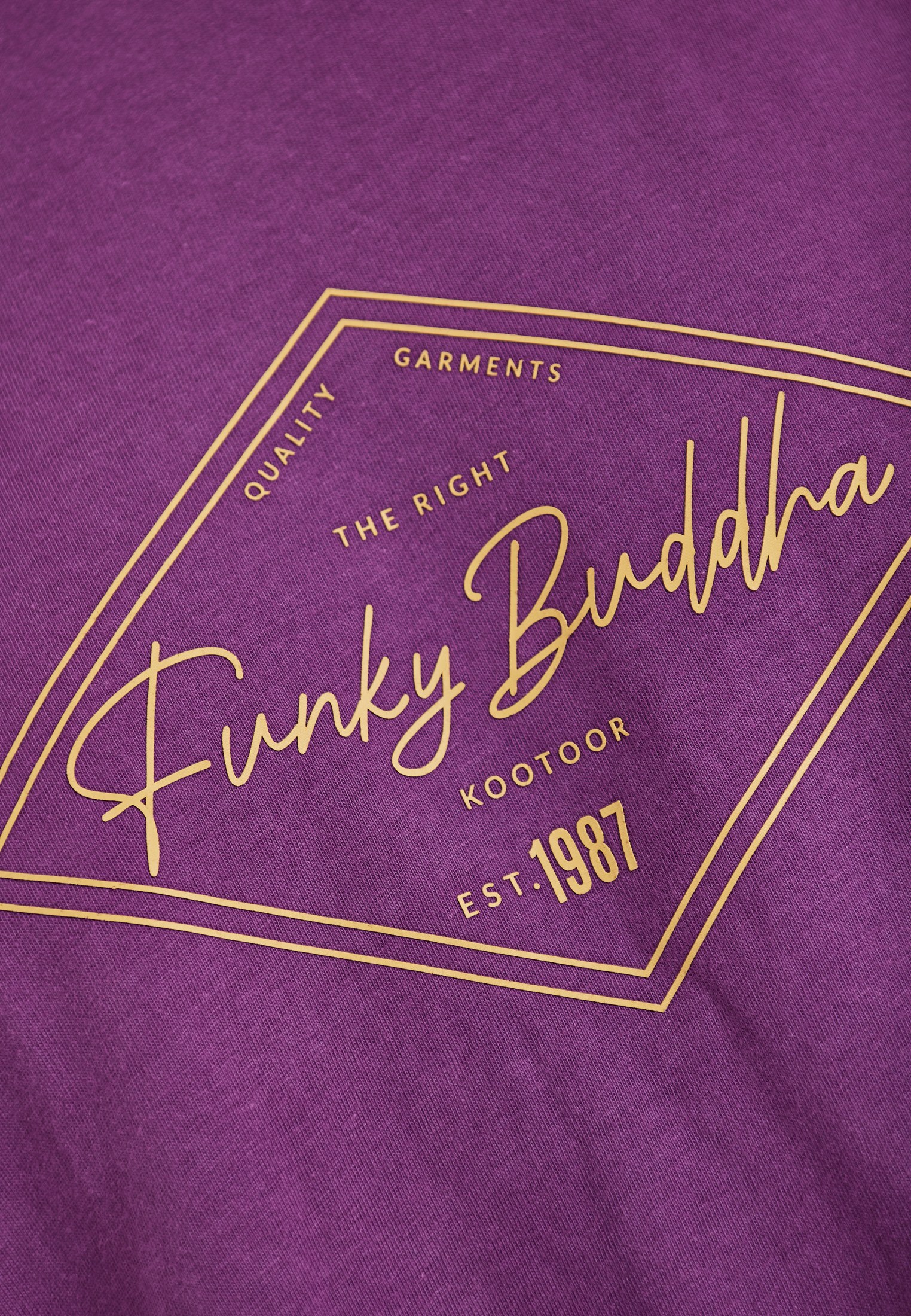Men's Shirts Funky Buddha Purple