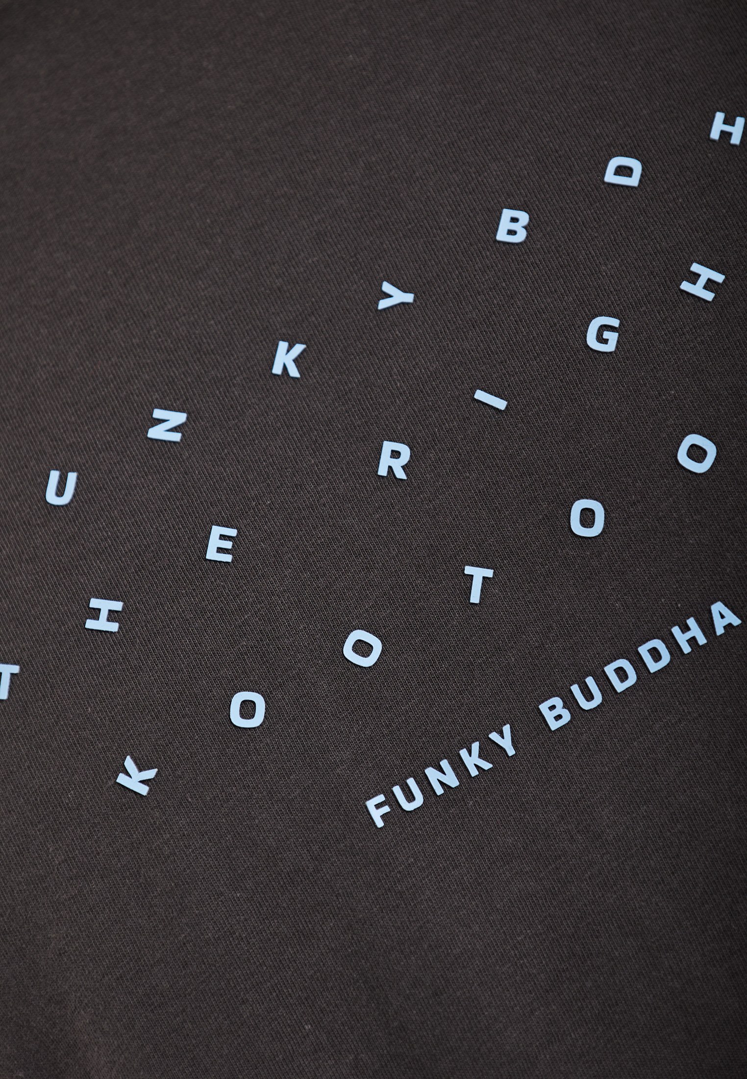 Men's Shirts Funky Buddha Gray