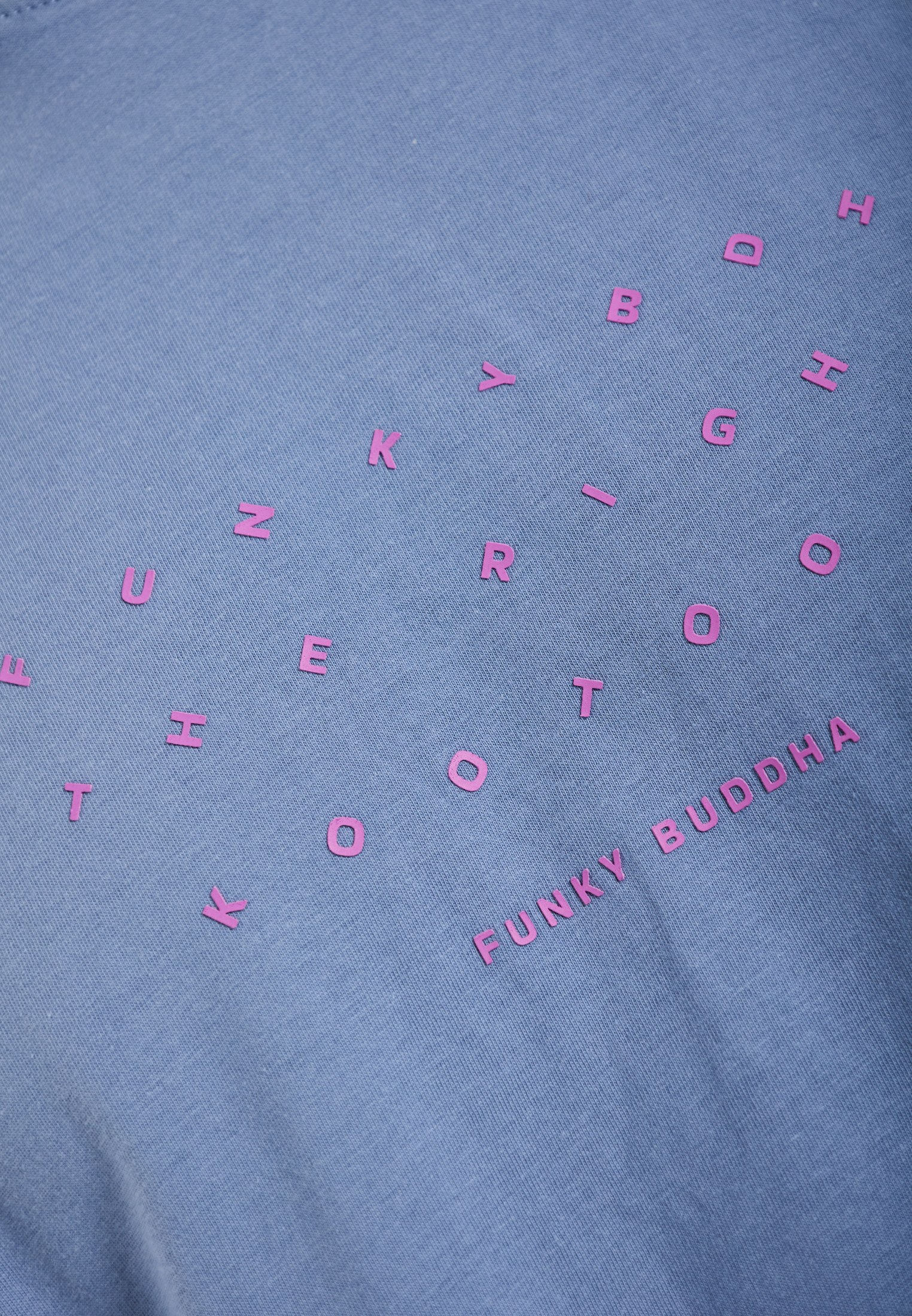 Men's Shirts Funky Buddha Blue