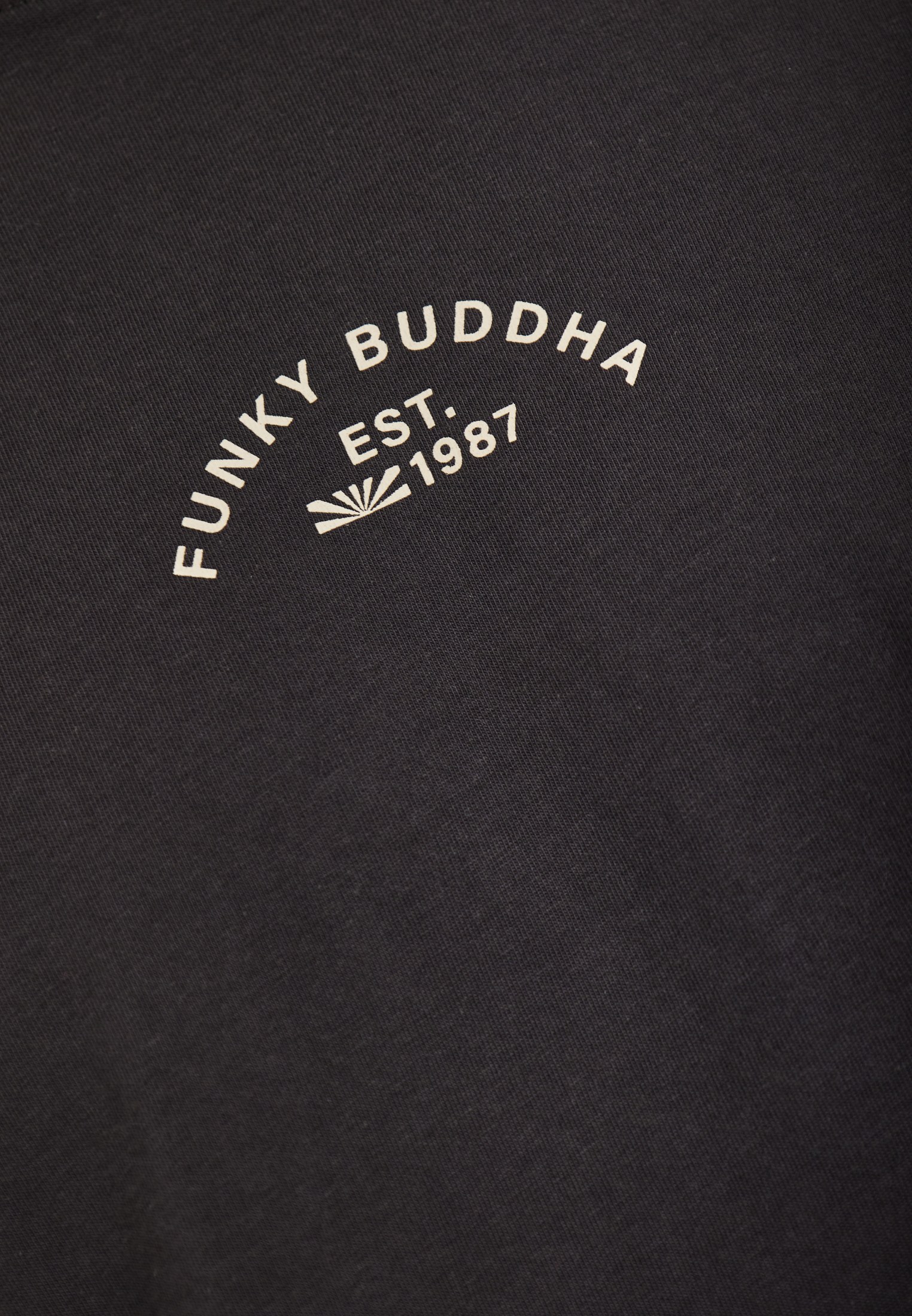 Men's Shirts Funky Buddha Gray