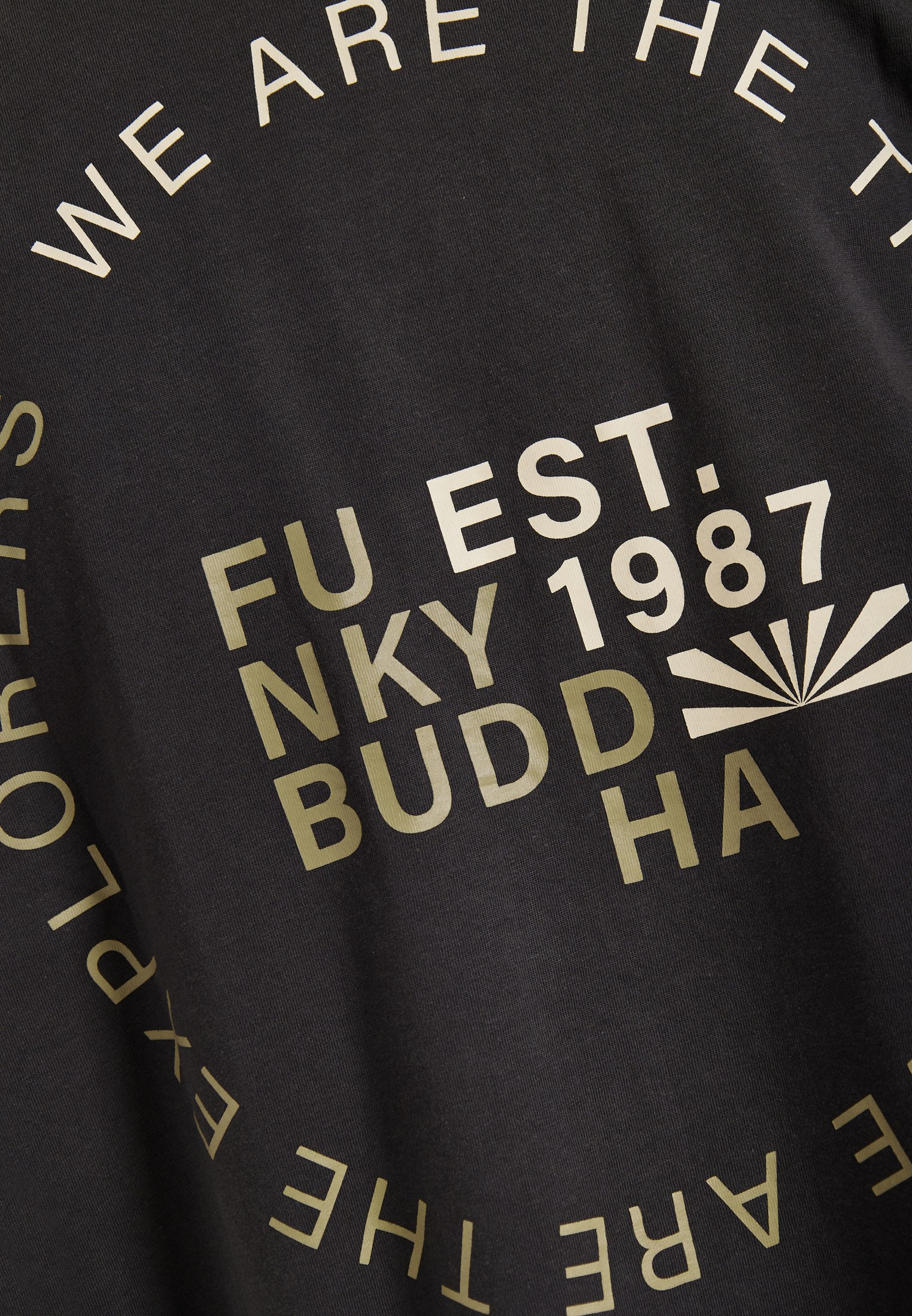 Men's Shirts Funky Buddha Gray