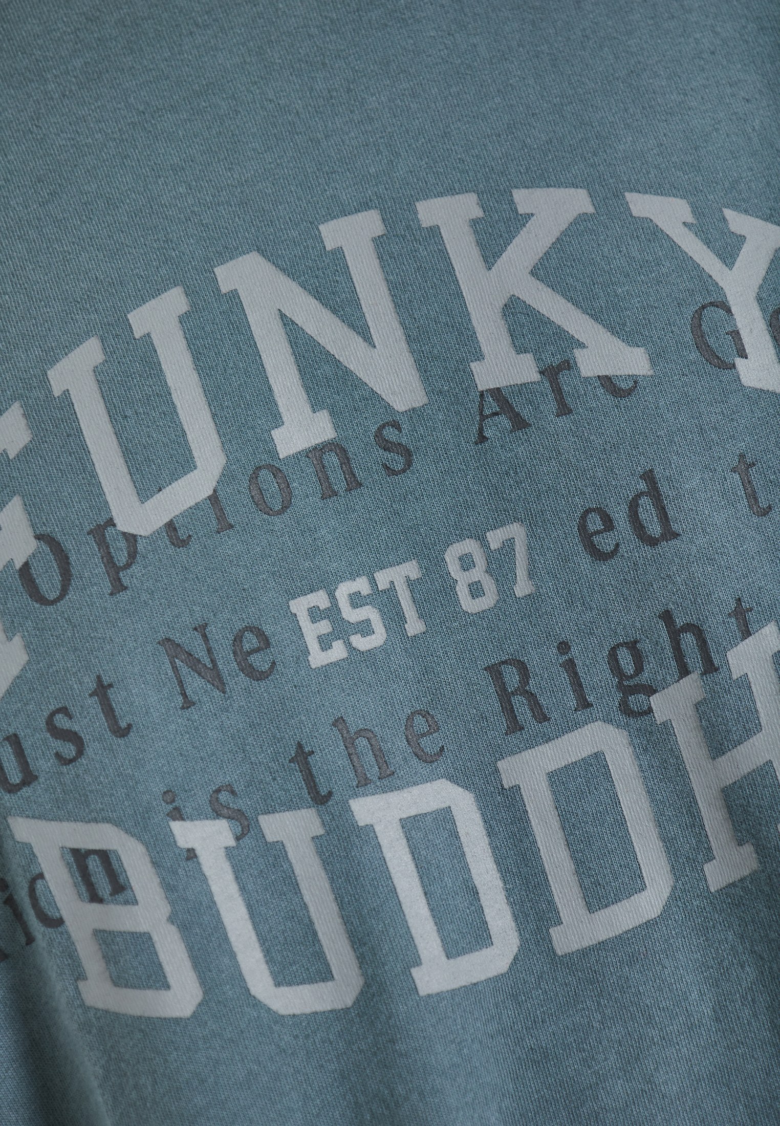 Men's T-Shirts Funky Buddha Gray