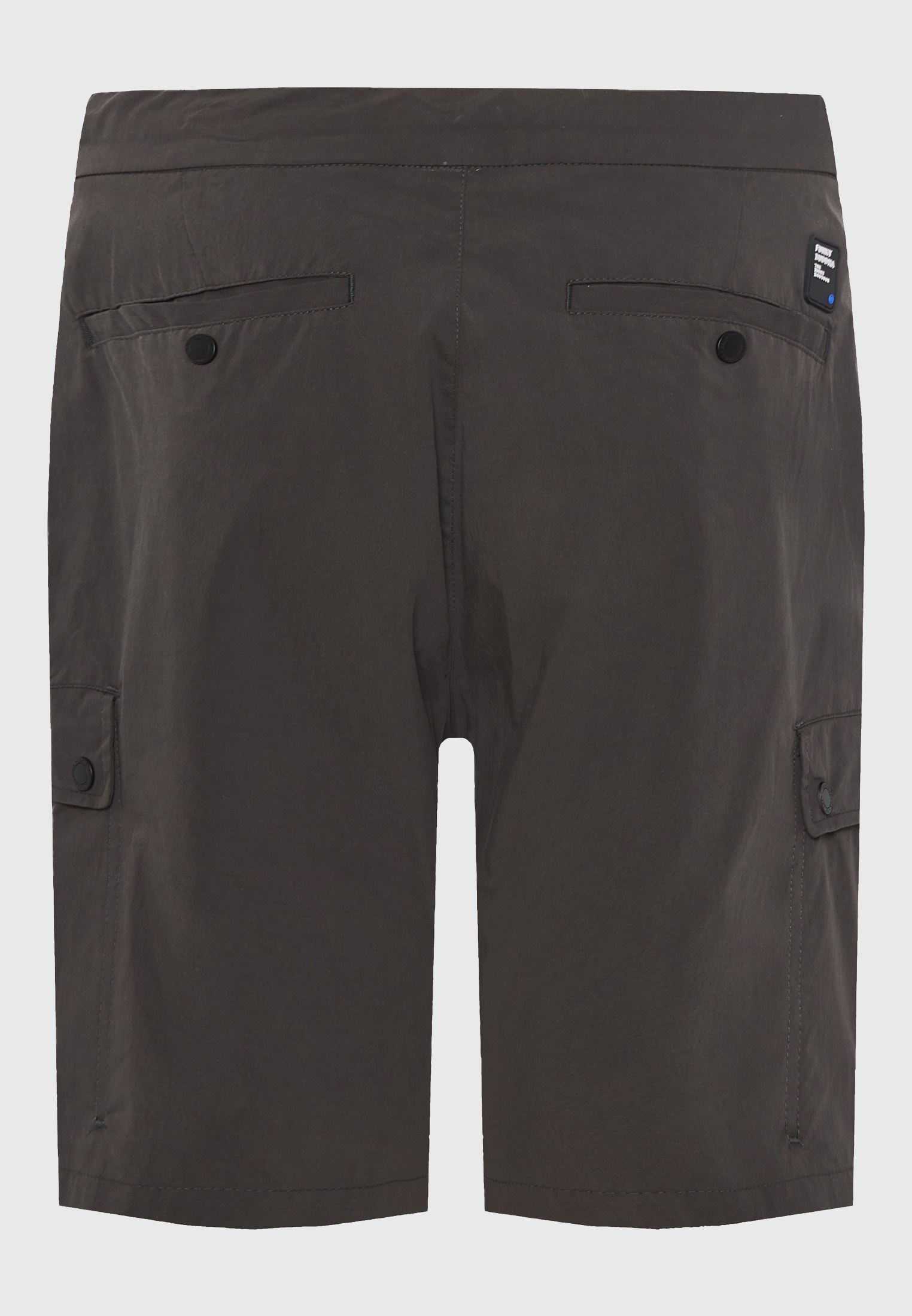 Men's Shorts Funky Buddha Gray