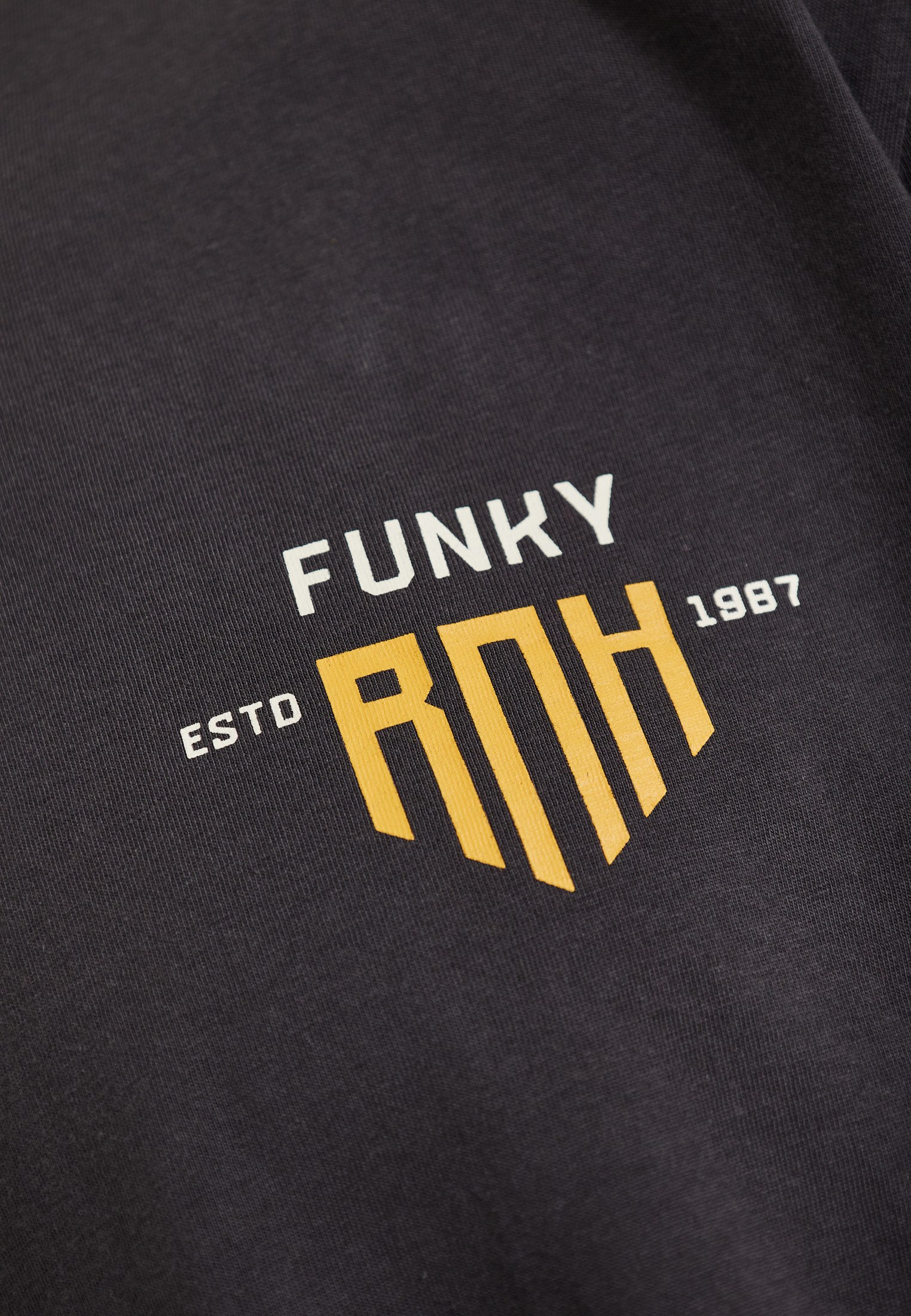 Men's T-Shirts Funky Buddha Gray