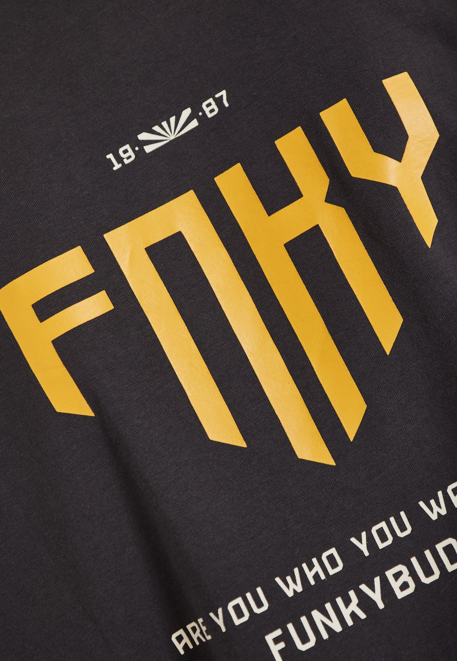 Men's T-Shirts Funky Buddha Gray