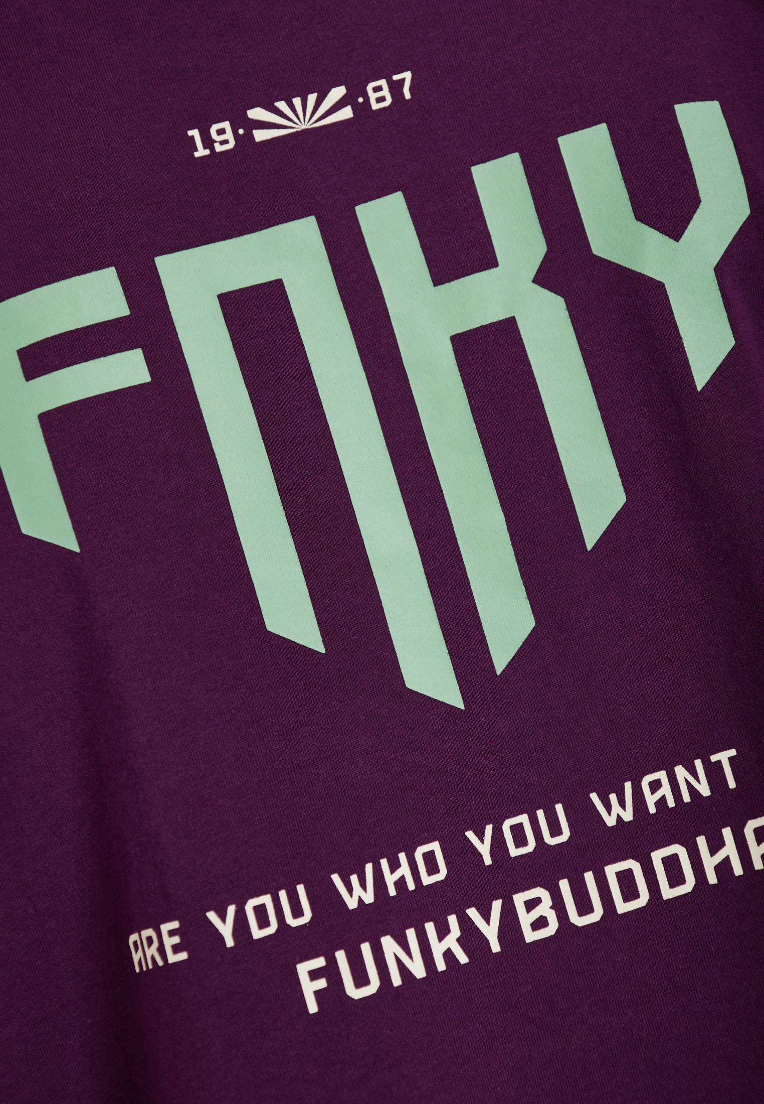 Men's T-Shirts Funky Buddha Purple