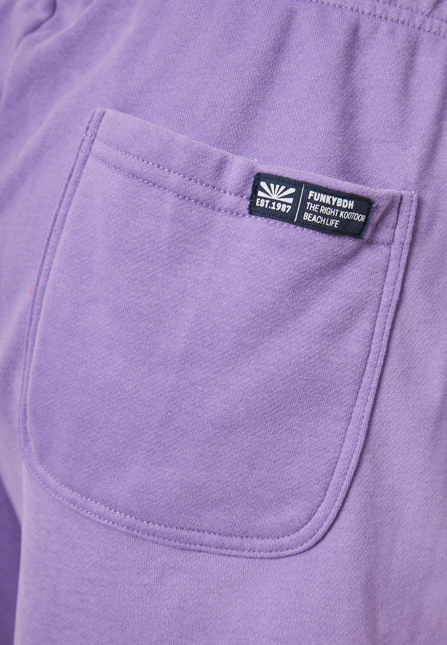 Men's Shorts Funky Buddha Purple