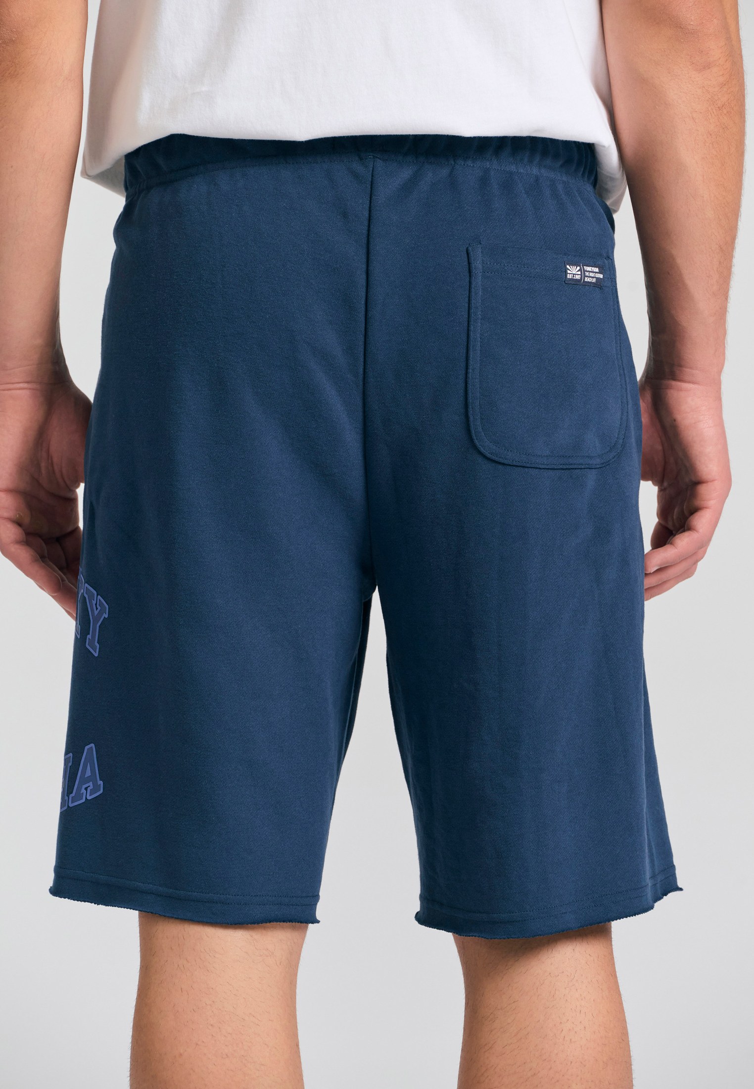 Men's Shorts Funky Buddha Navy