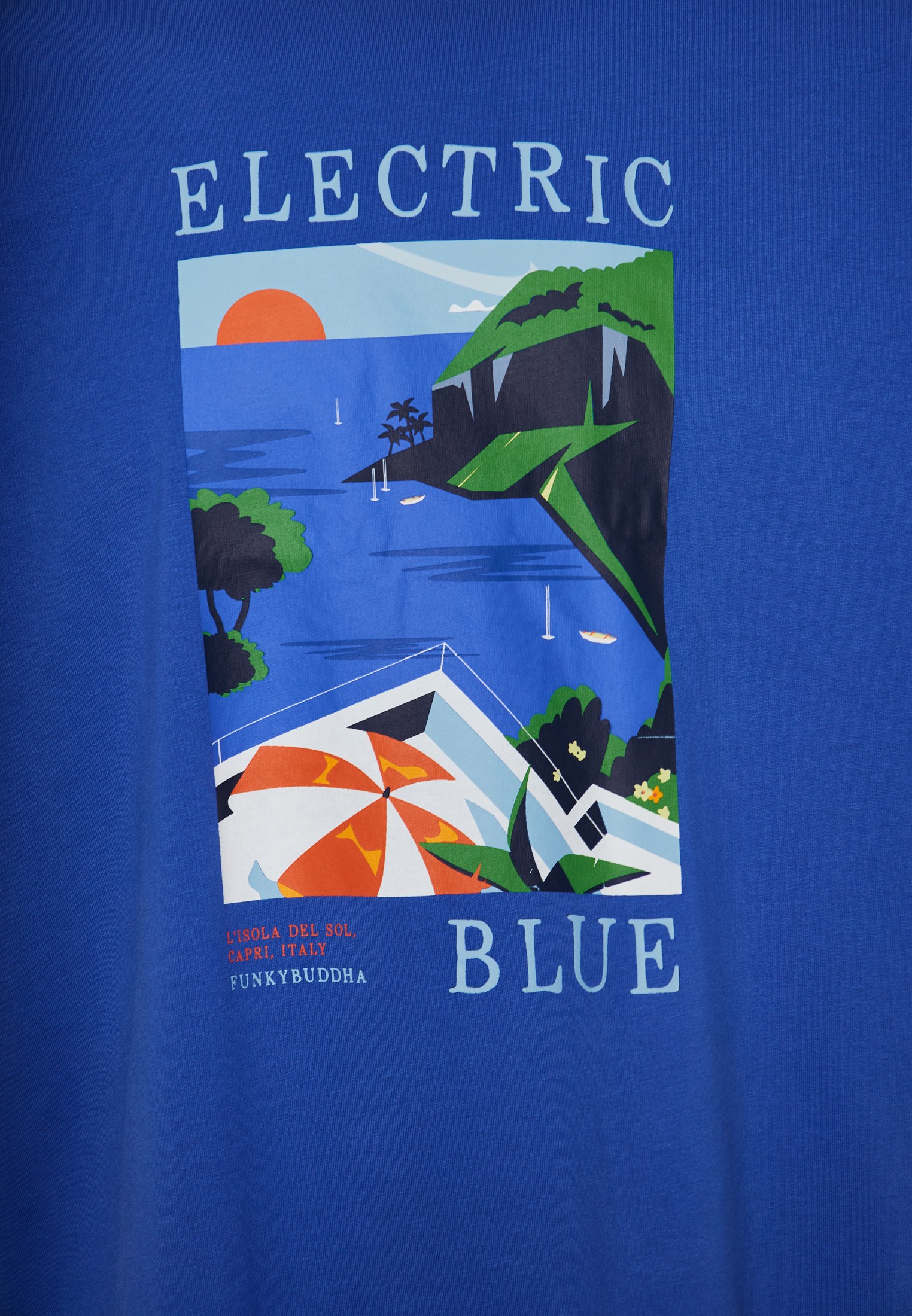 Men's Shirts Funky Buddha Blue