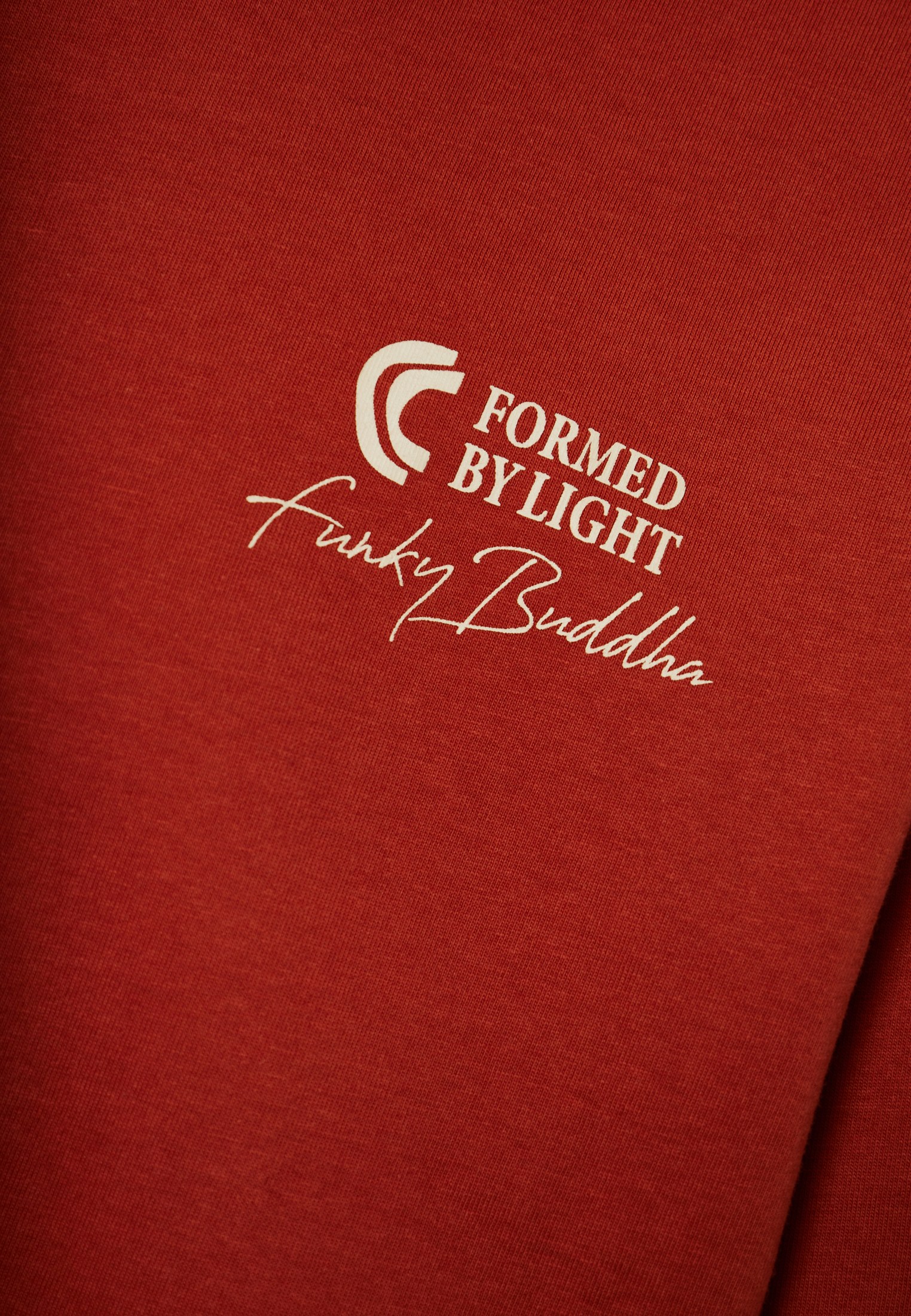 Men's Shirts Funky Buddha Brown