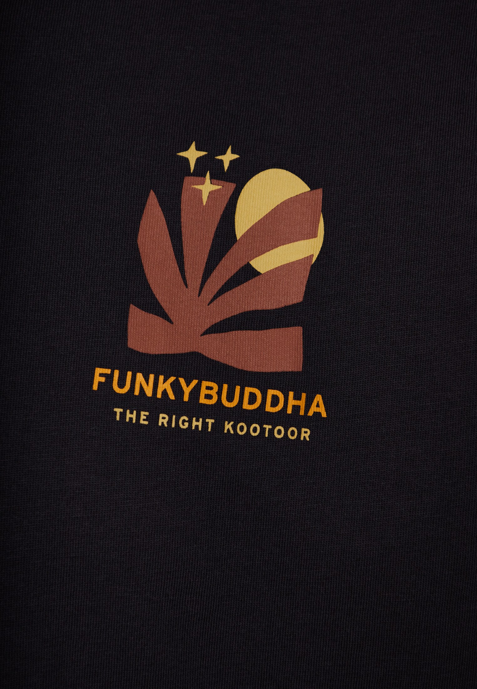 Men's T-Shirts Funky Buddha Gray