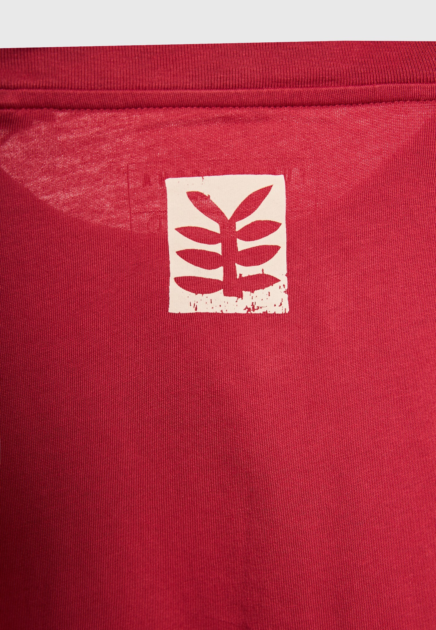 Men's Shirts Funky Buddha Red