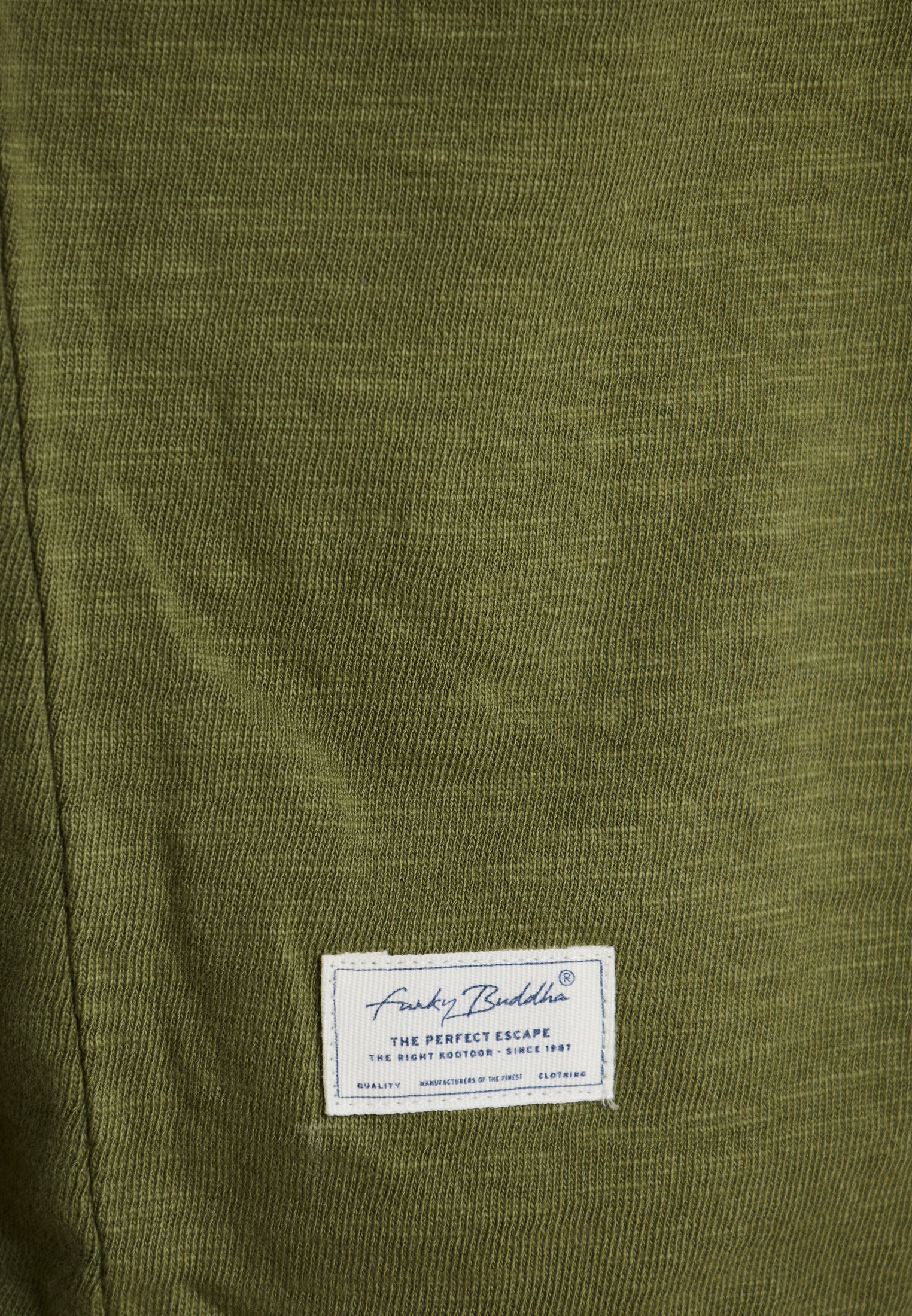 Men's T-Shirts Funky Buddha Green