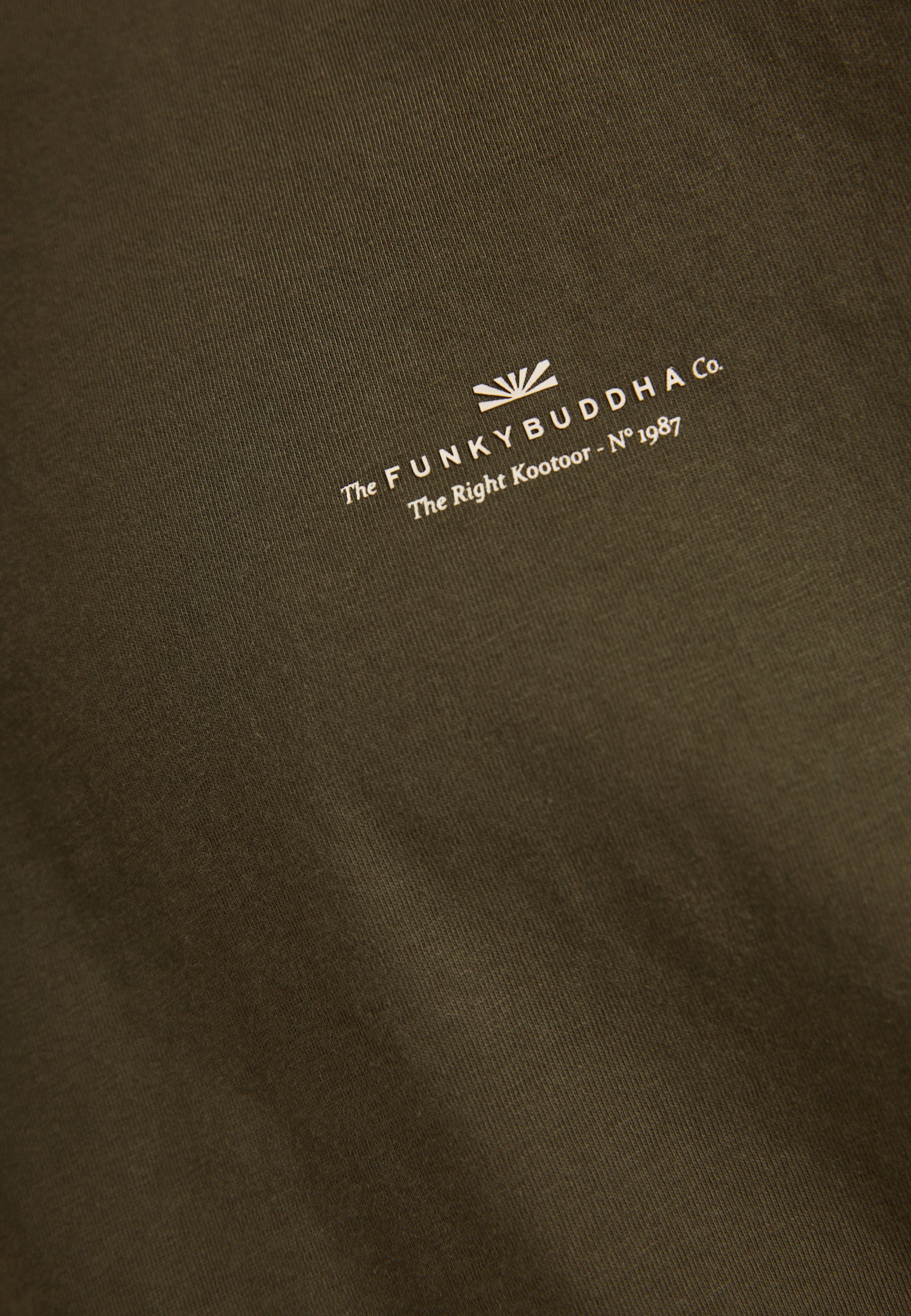 Men's T-Shirts Funky Buddha Olive