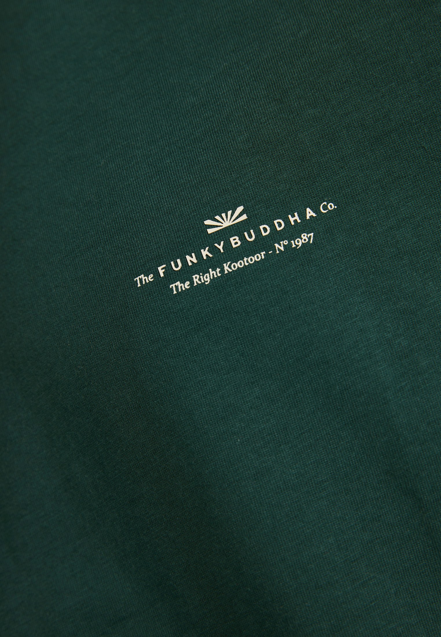 Men's T-Shirts Funky Buddha Green