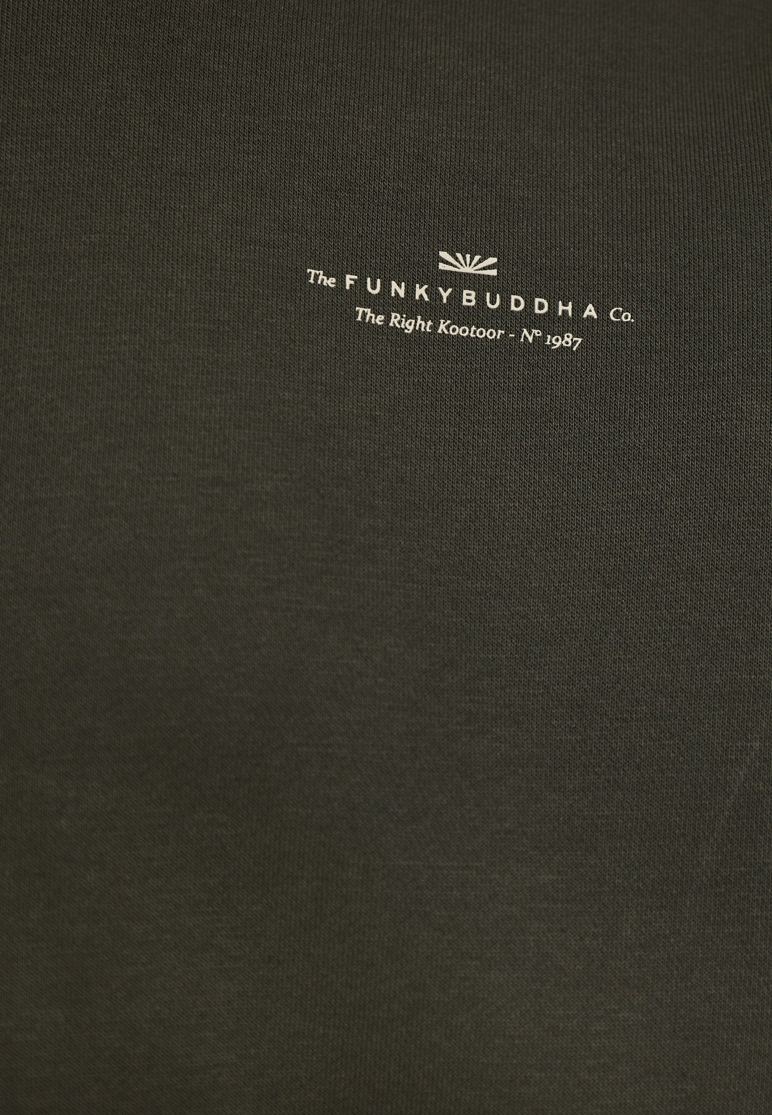 Men's Hoodies & Sweatshirts Funky Buddha Green