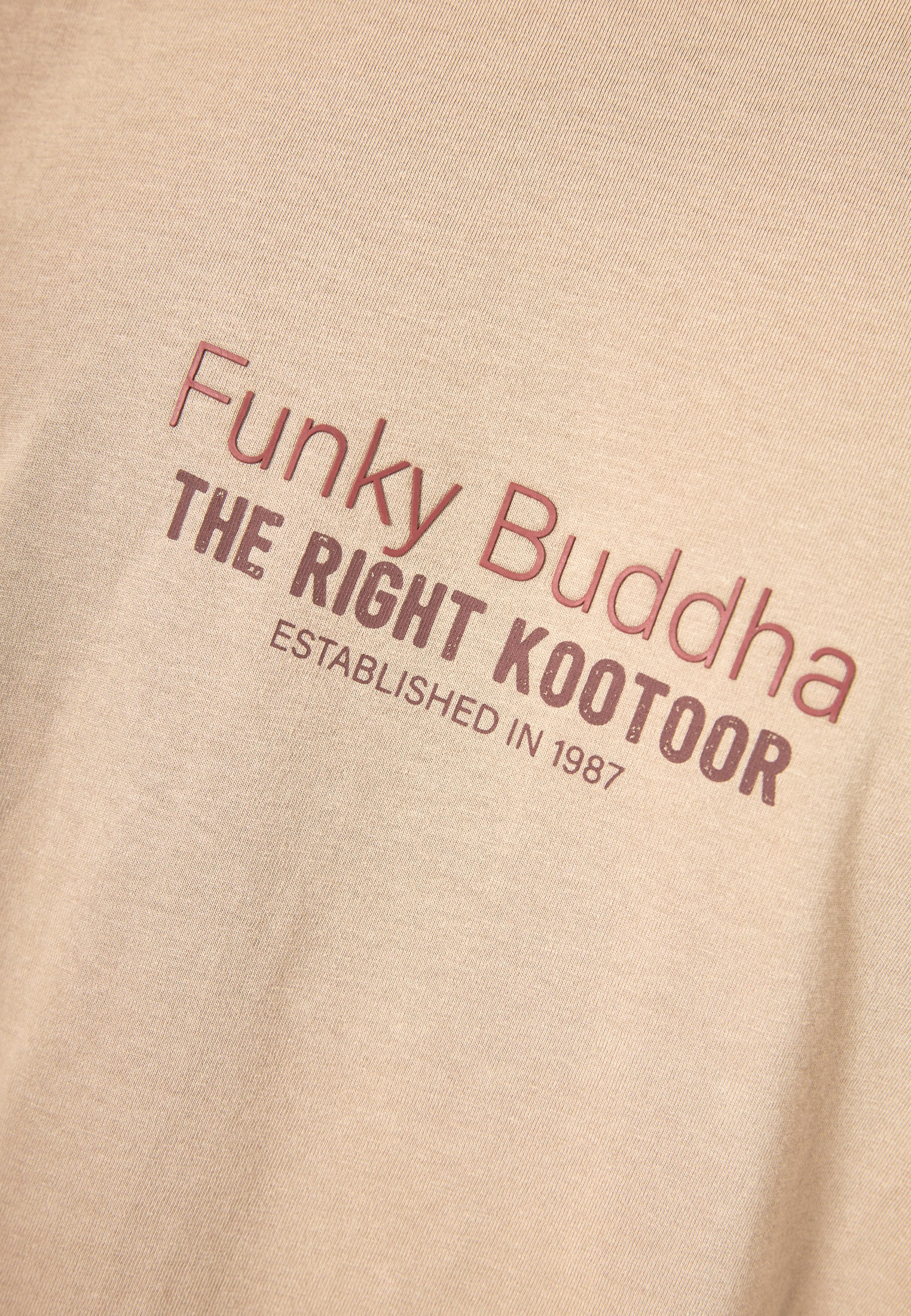 Men's T-Shirts Funky Buddha Brown