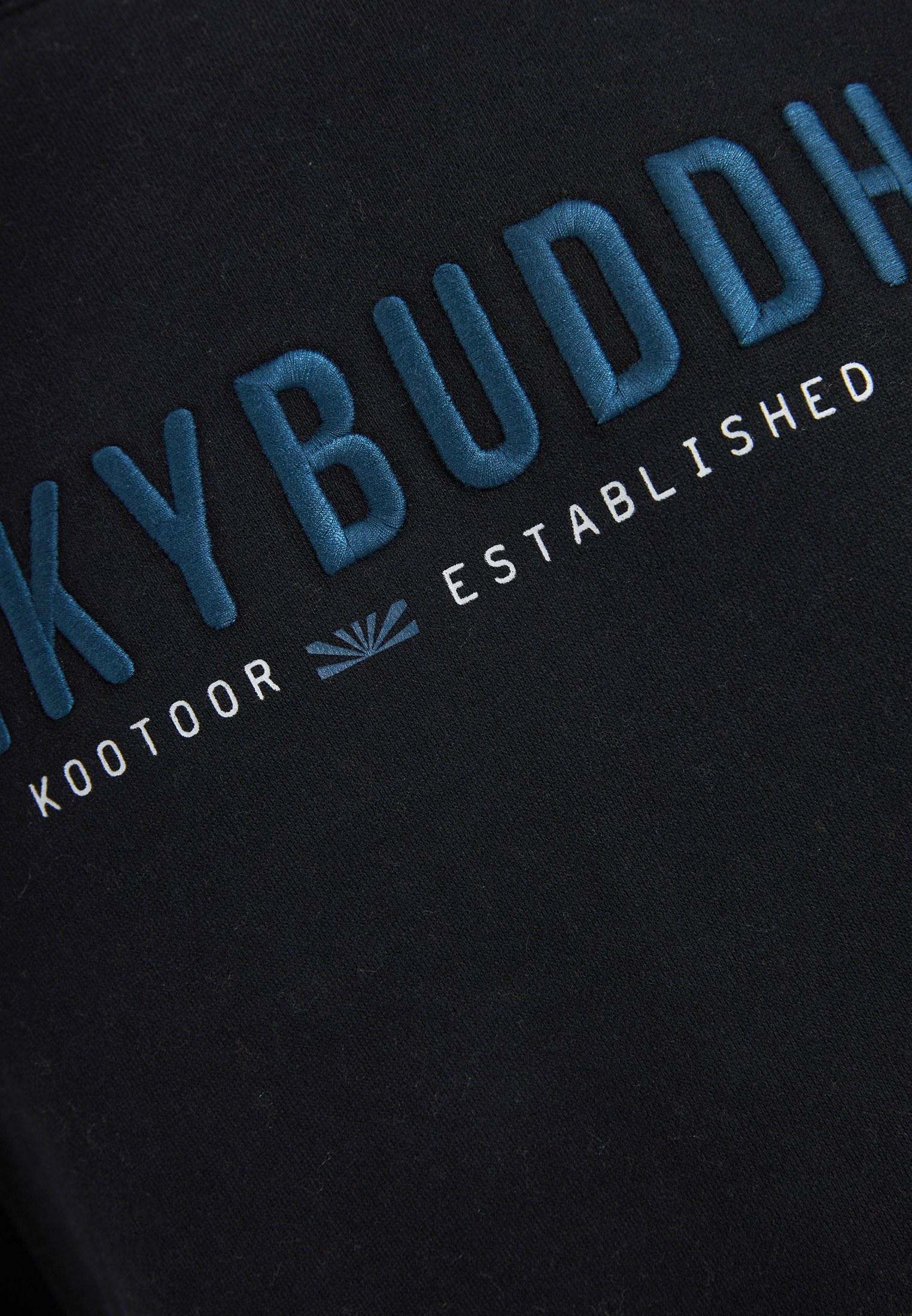 Men's Hoodies & Sweatshirts Funky Buddha Black