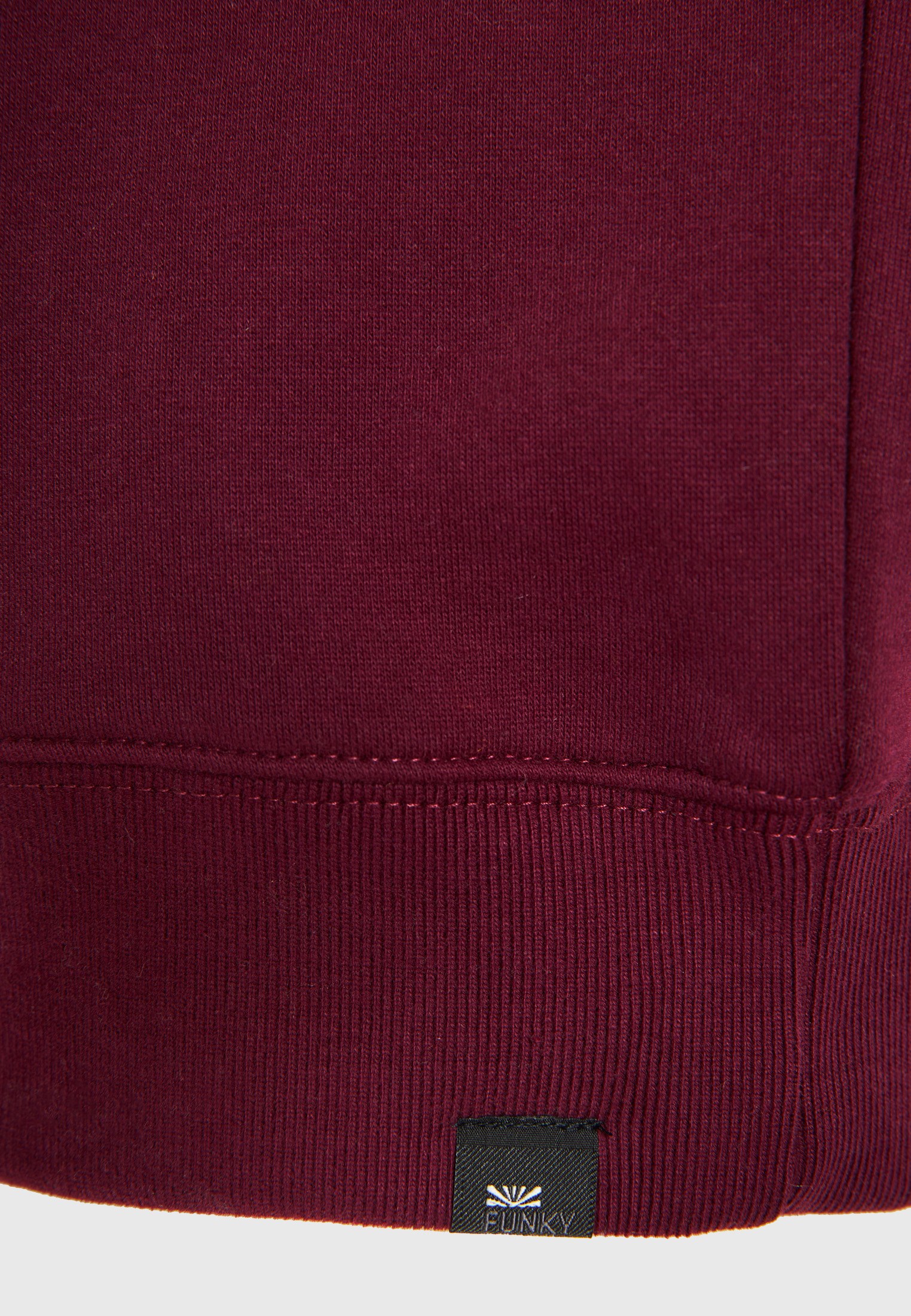 Men's Hoodies & Sweatshirts Funky Buddha Bordeaux