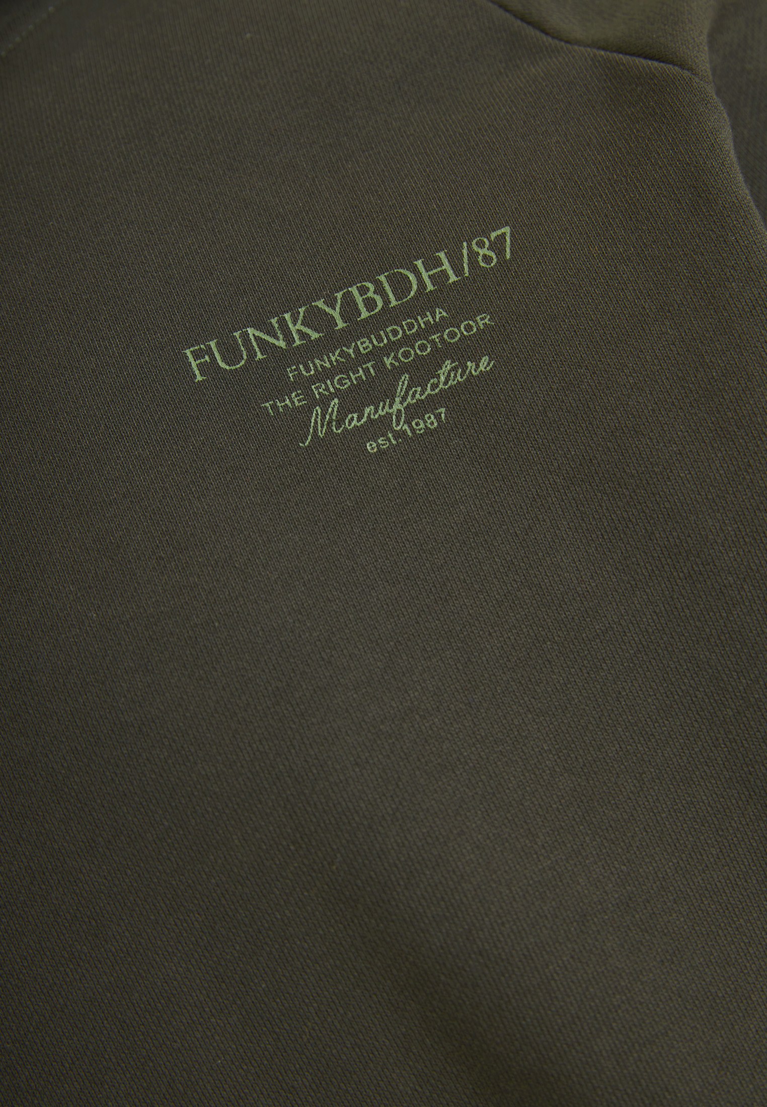 Men's Hoodies & Sweatshirts Funky Buddha Green