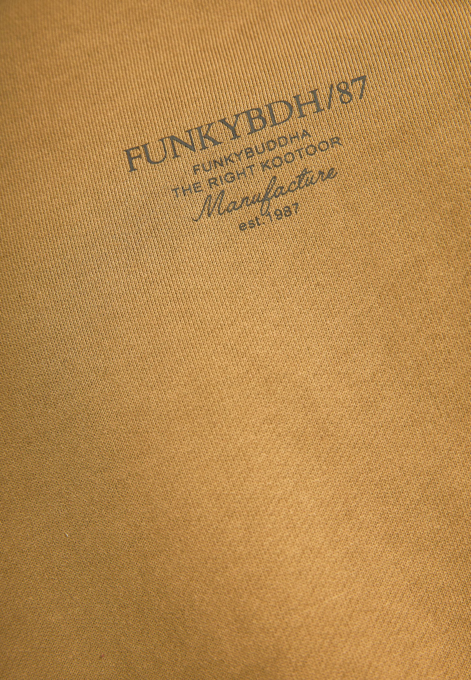 Men's Hoodies & Sweatshirts Funky Buddha Brown