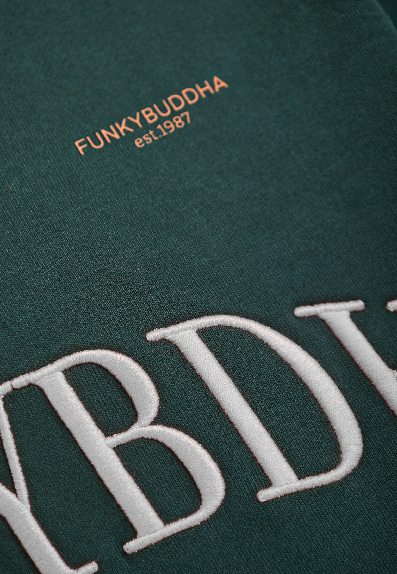 Men's Hoodies & Sweatshirts Funky Buddha Green