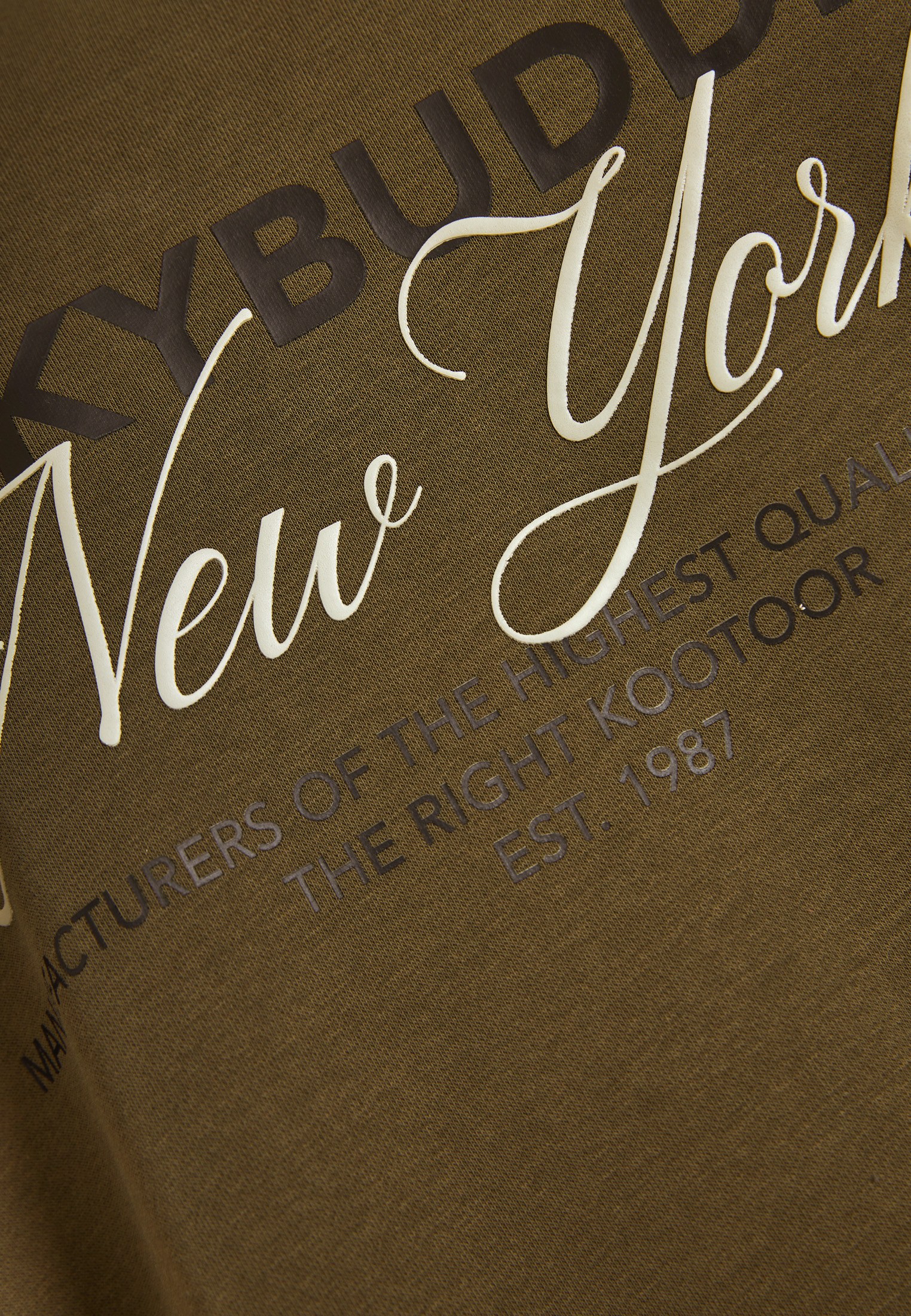 Men's Hoodies & Sweatshirts Funky Buddha Olive