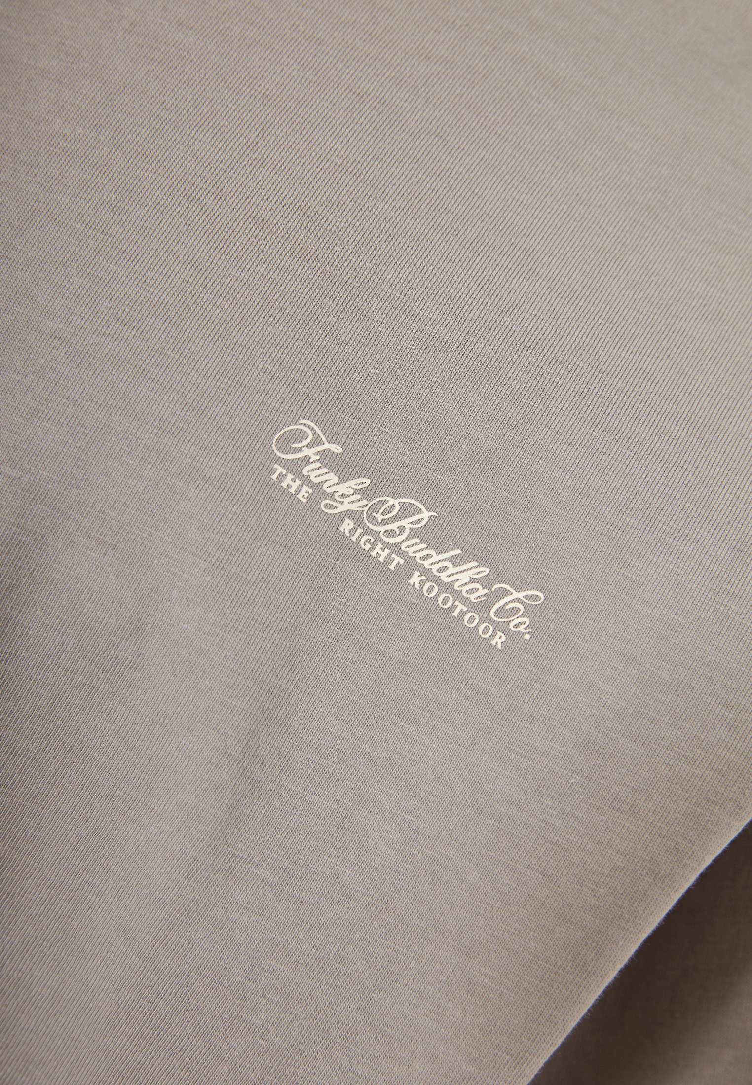 Men's T-Shirts Funky Buddha Gray