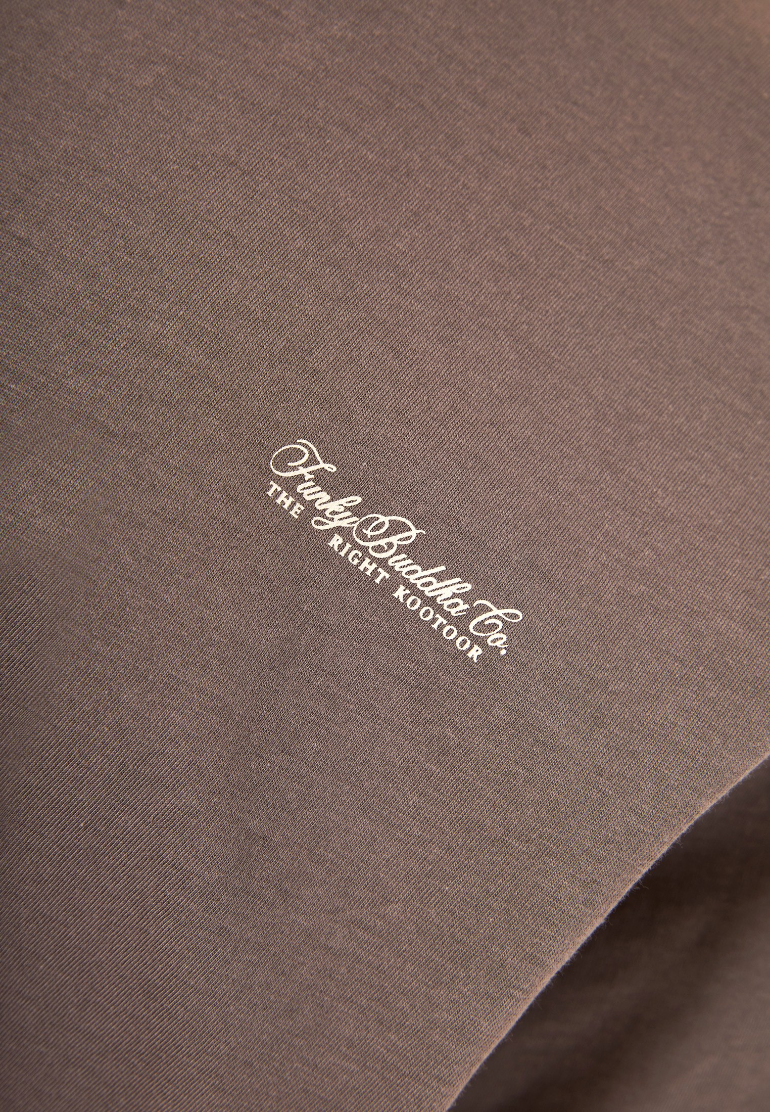 Men's T-Shirts Funky Buddha Beige