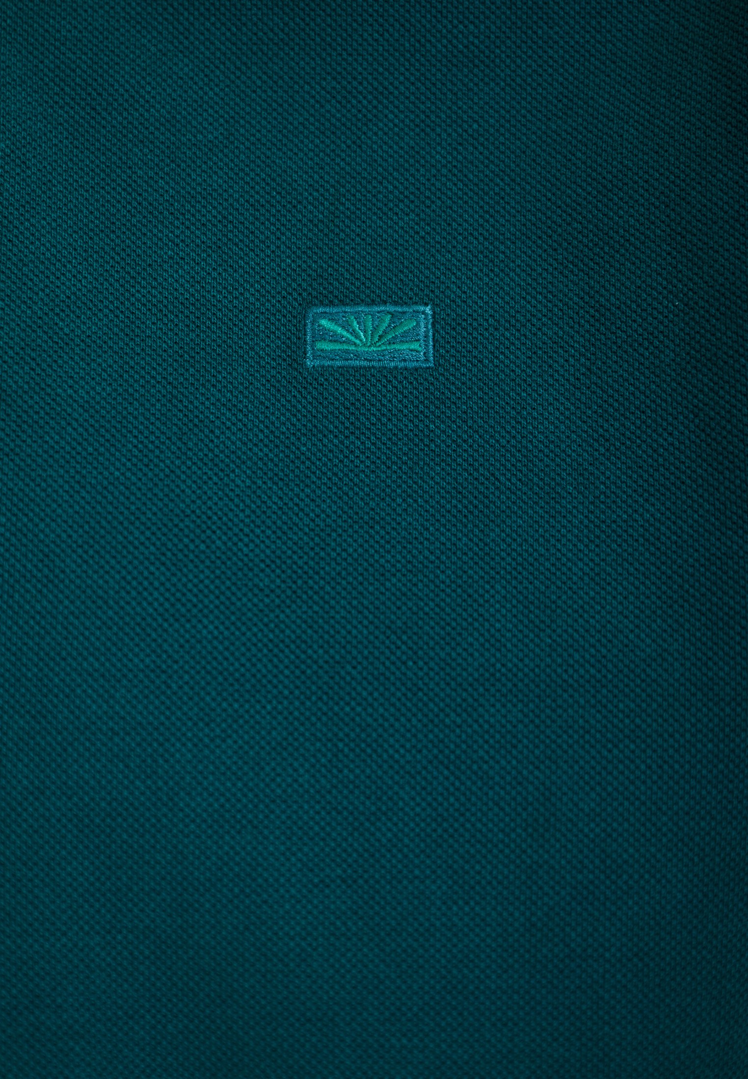 Men's Polo Shirts Funky Buddha Green