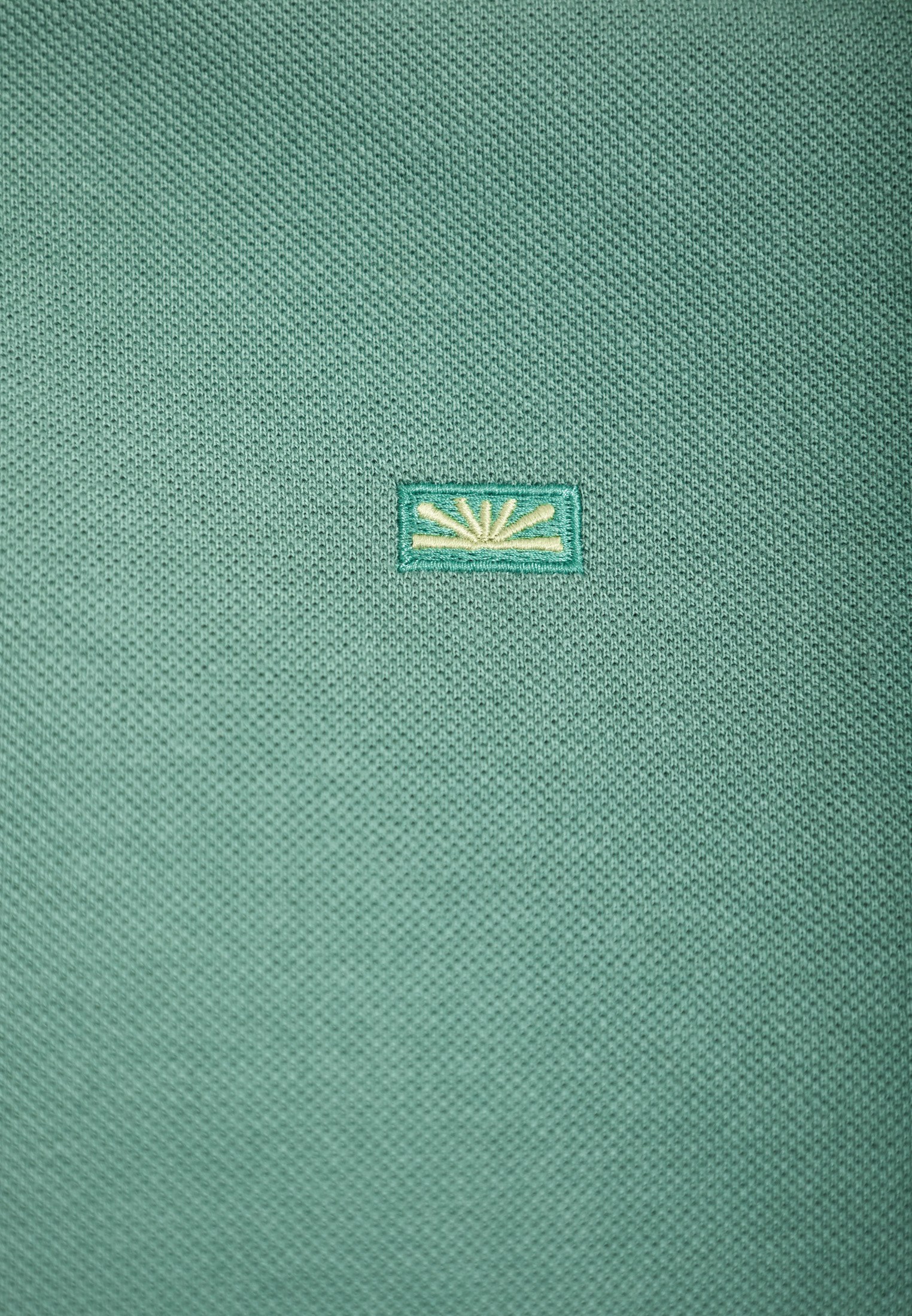 Men's Polo Shirts Funky Buddha Green