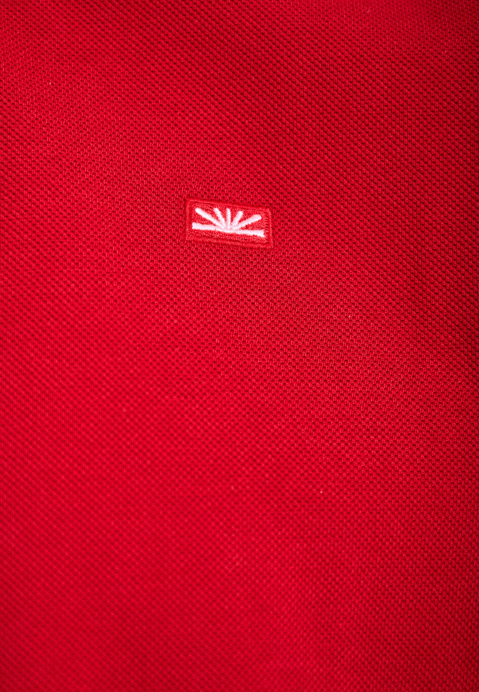 Men's Polo Shirts Funky Buddha Red