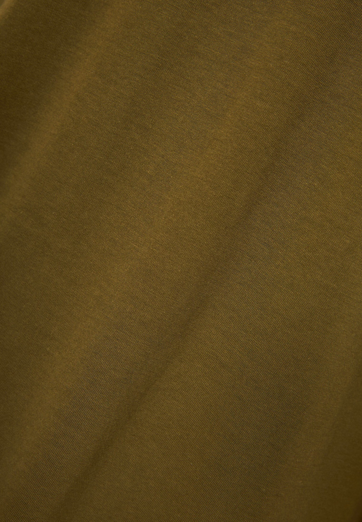 Men's T-Shirts Funky Buddha Olive