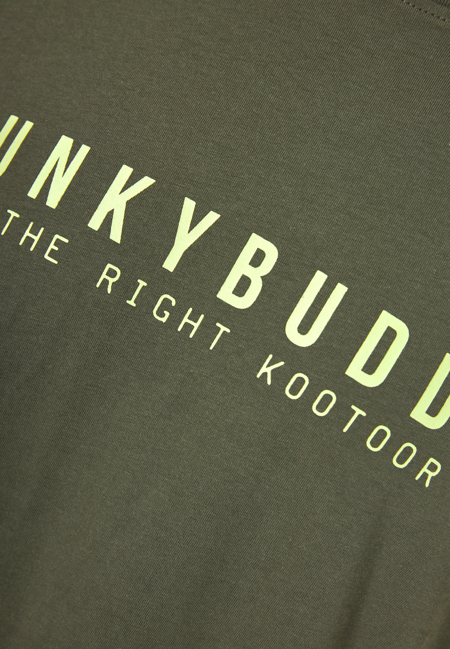 Men's Shirts Funky Buddha Green