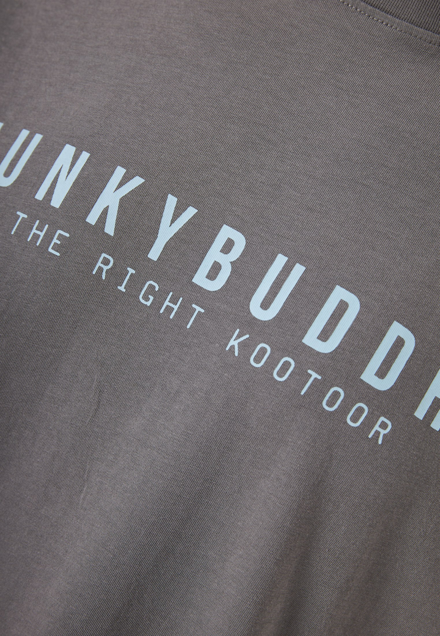 Men's Shirts Funky Buddha Gray
