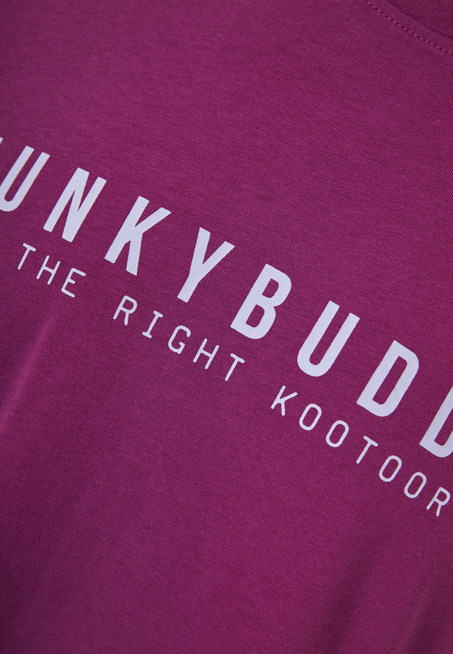 Men's Shirts Funky Buddha Purple