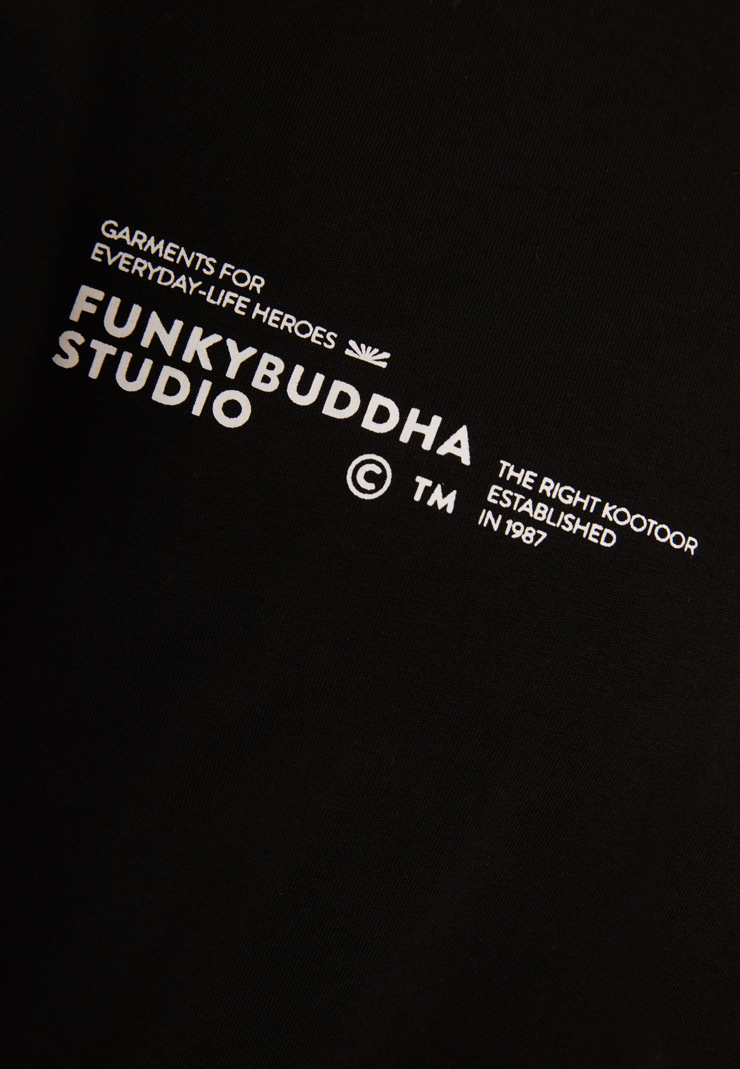 Ανδρικό βαμβακερό t-shirt με τύπωμα