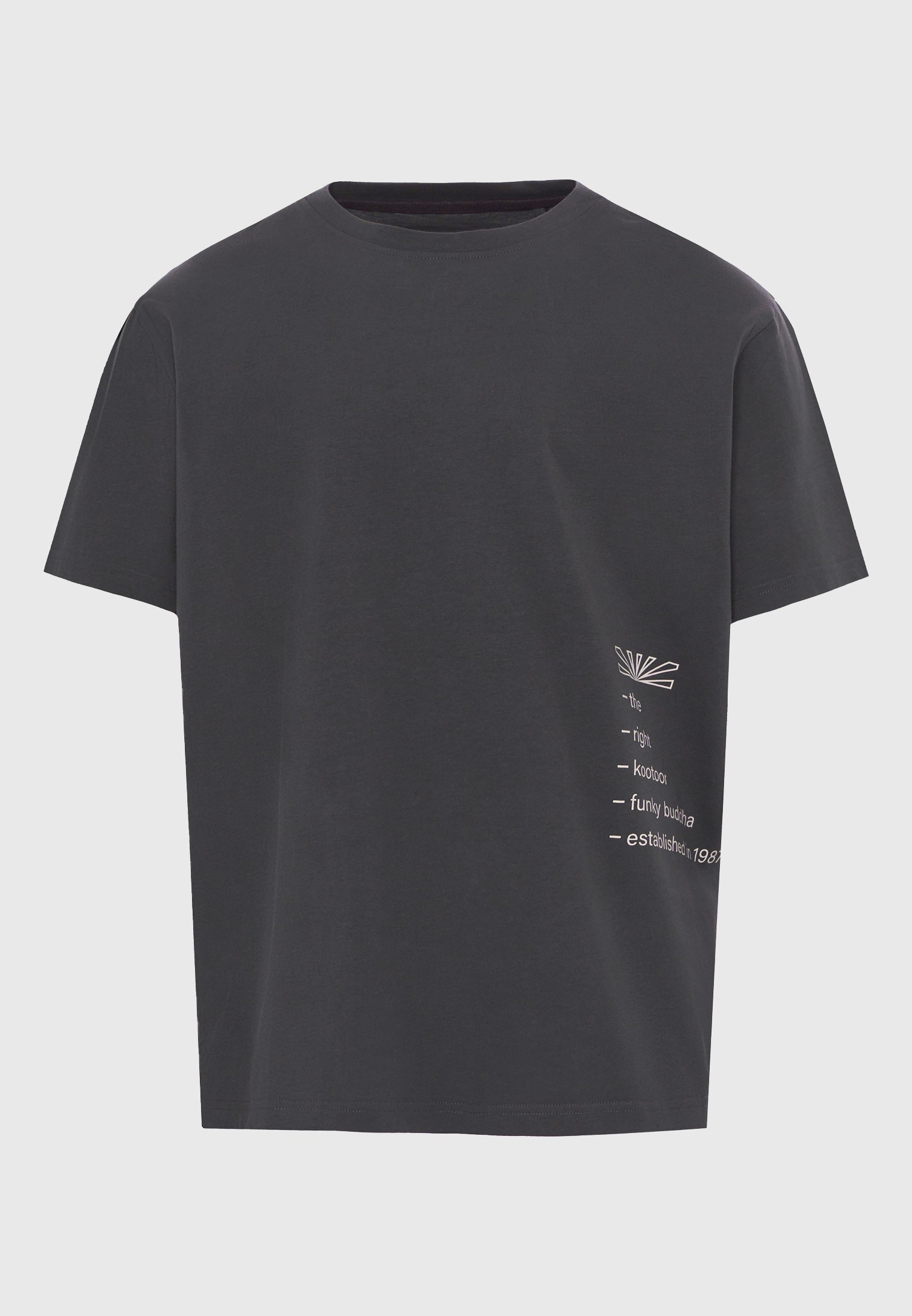 Men's Shirts Funky Buddha Gray