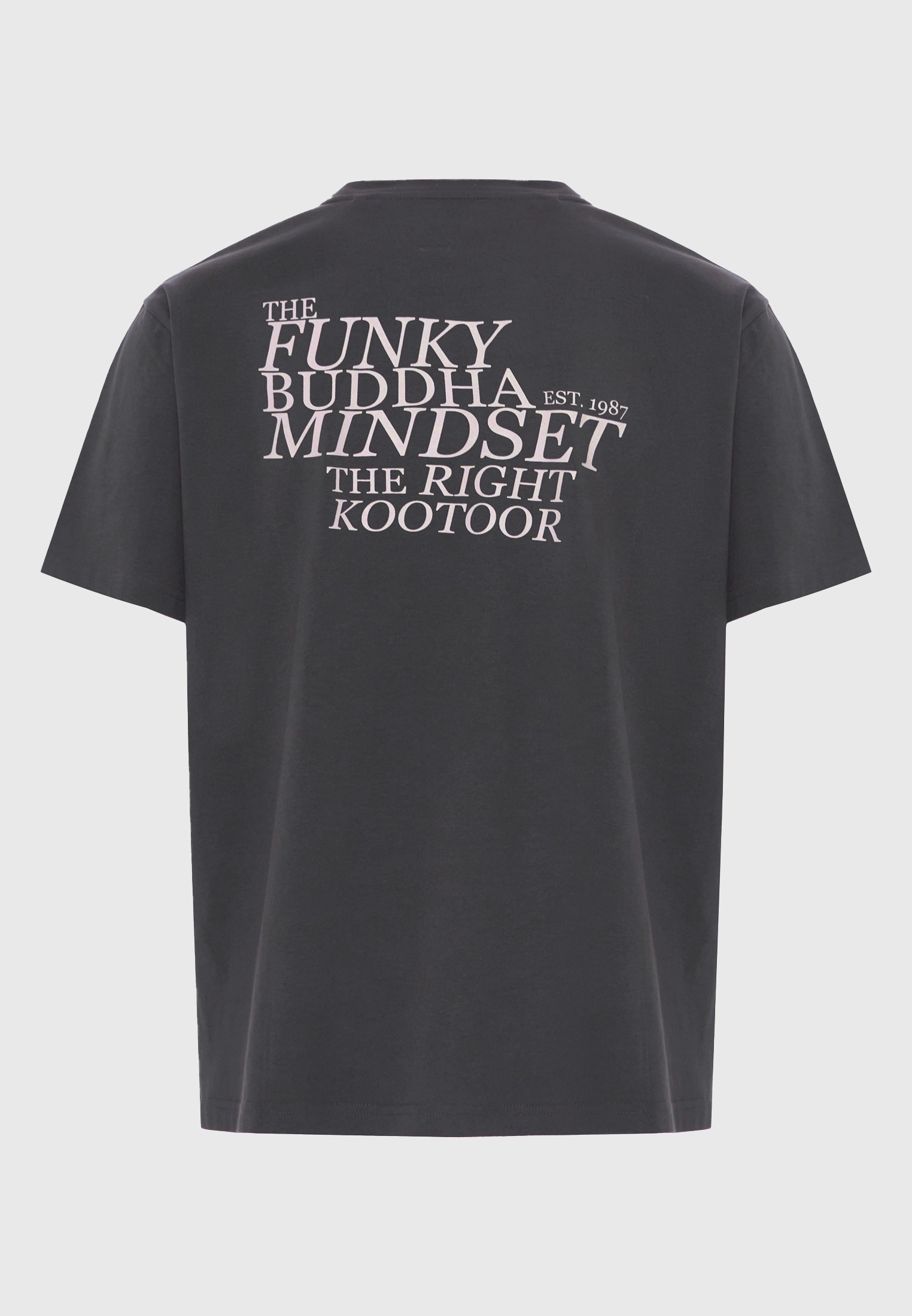 Men's Shirts Funky Buddha Gray