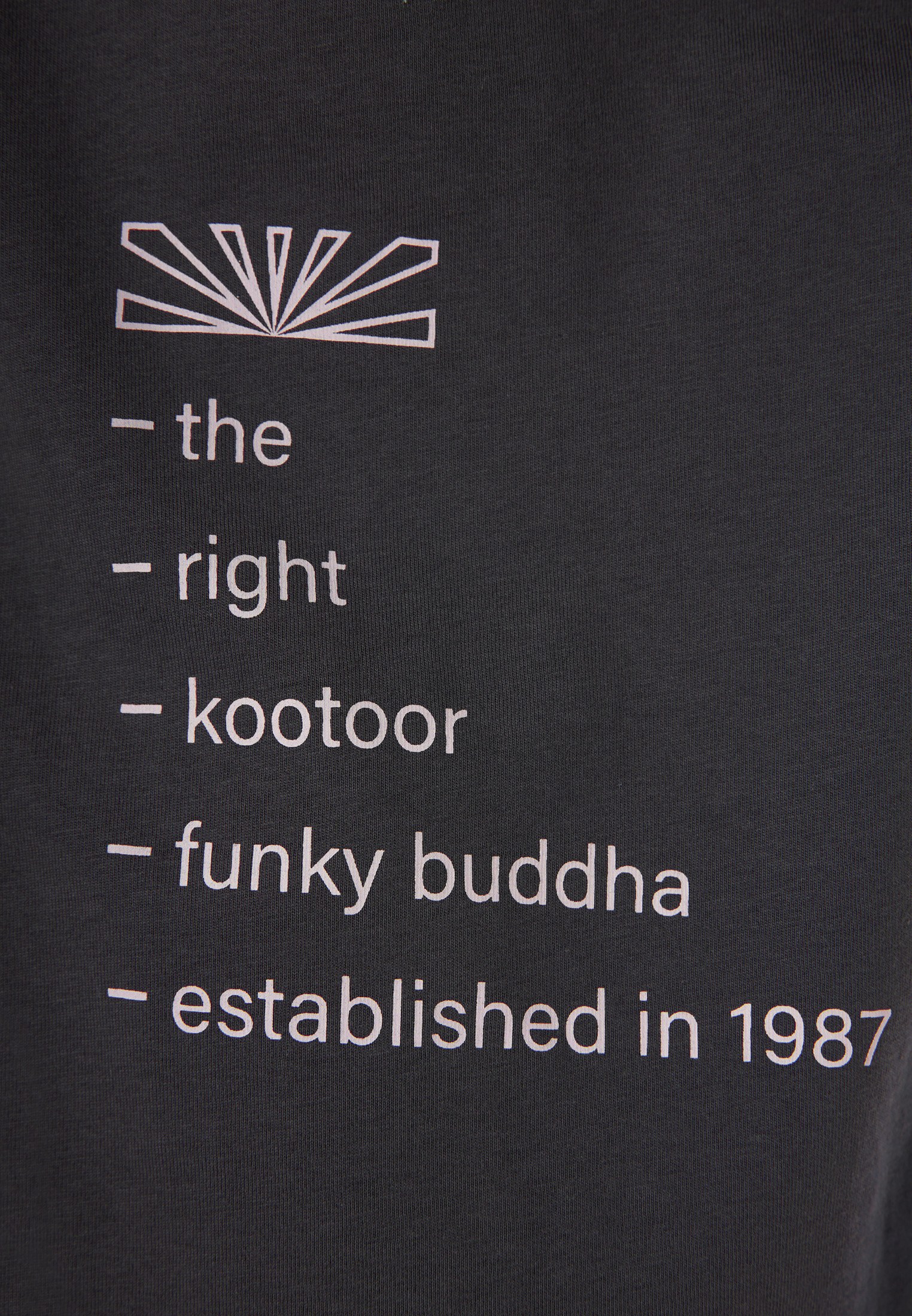 Men's Shirts Funky Buddha Gray