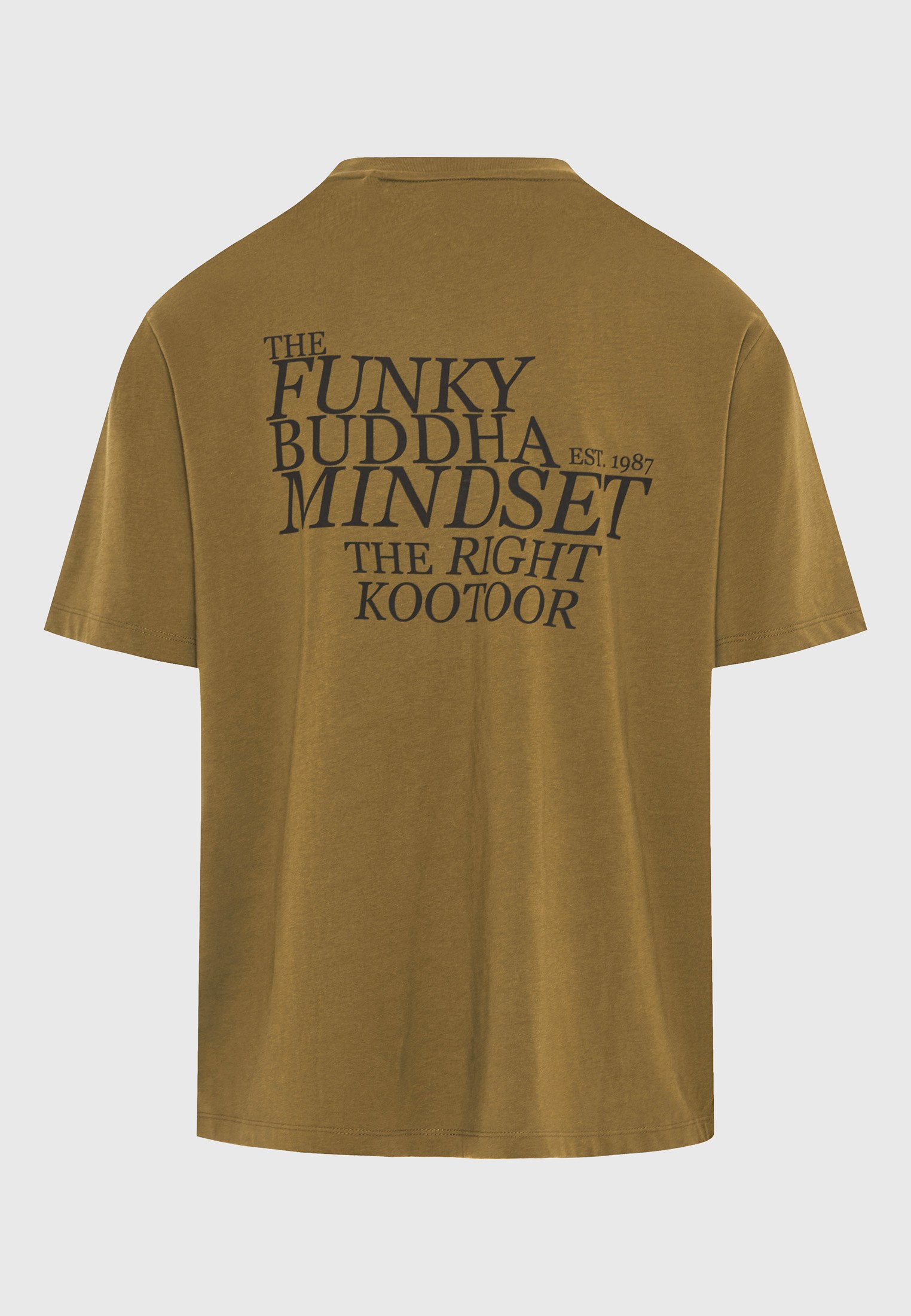 Men's Shirts Funky Buddha Olive