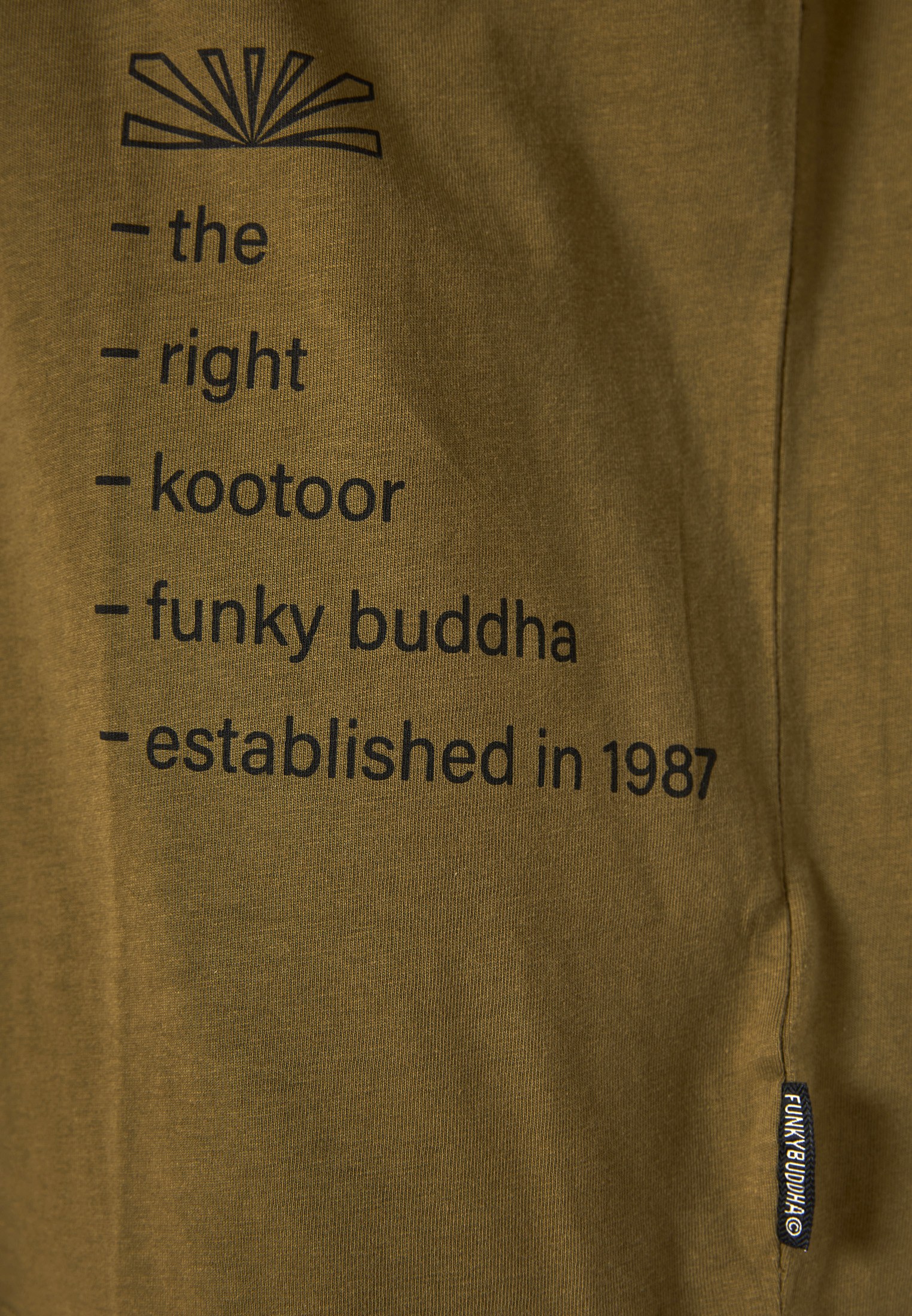 Men's Shirts Funky Buddha Olive