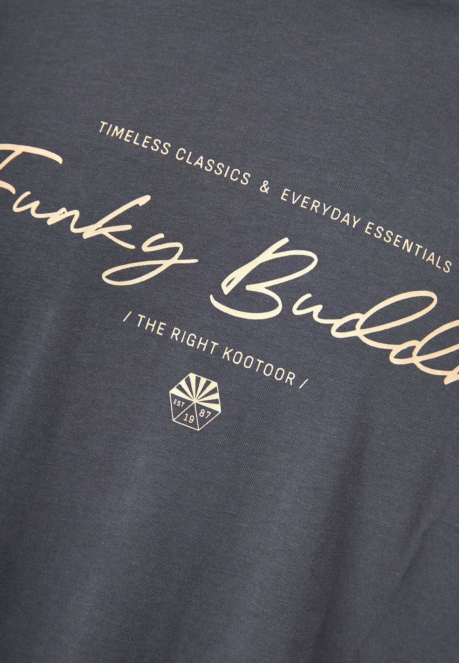 Men's Shirts Funky Buddha Gray