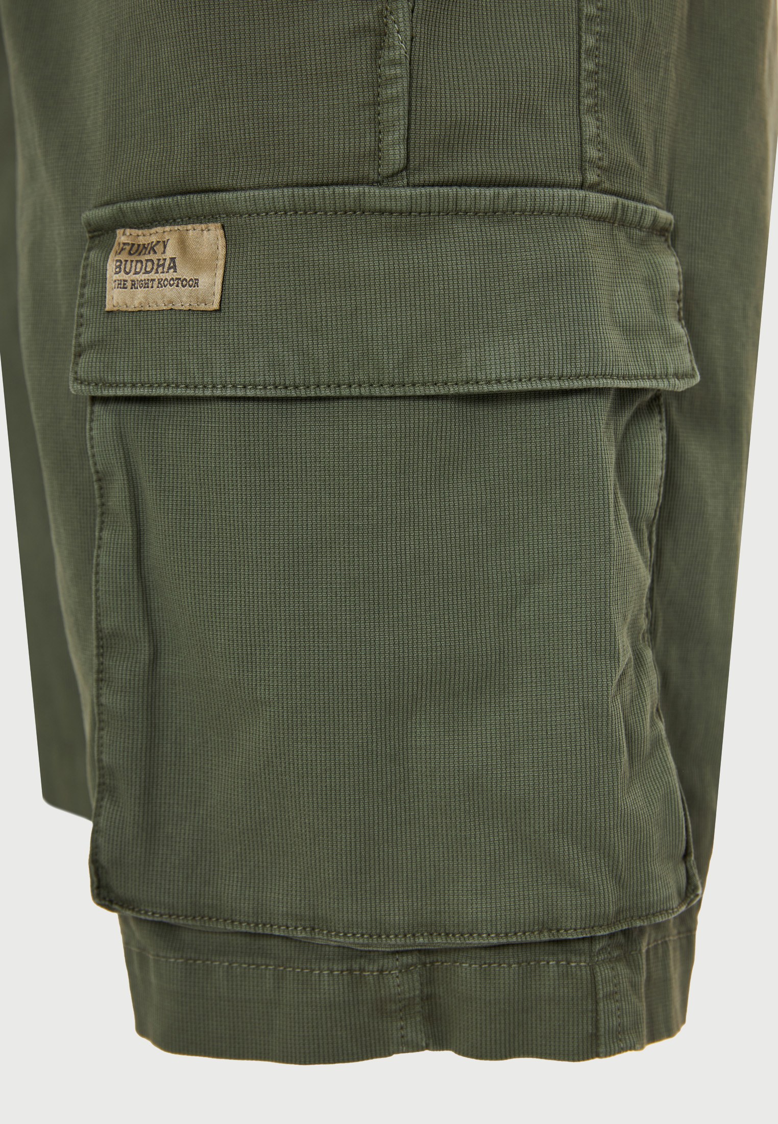 Men's Shorts Funky Buddha Green