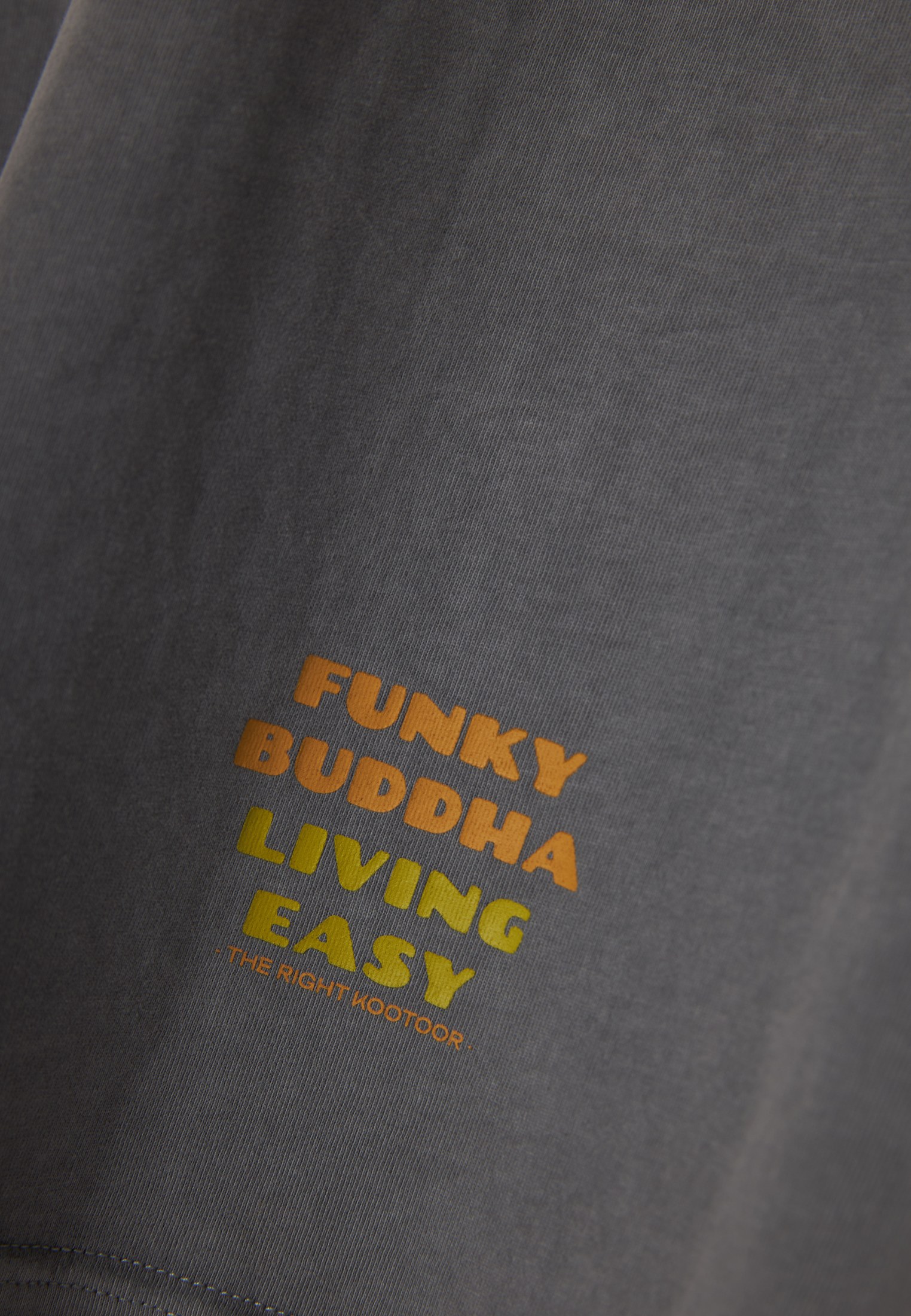 Men's Shirts Funky Buddha Gray