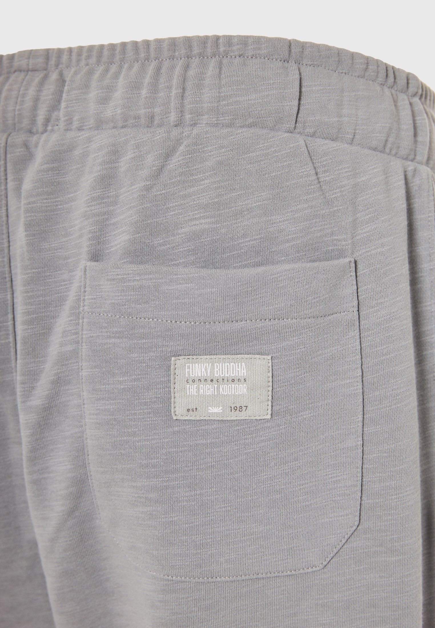 Men's Tracksuits Funky Buddha Gray