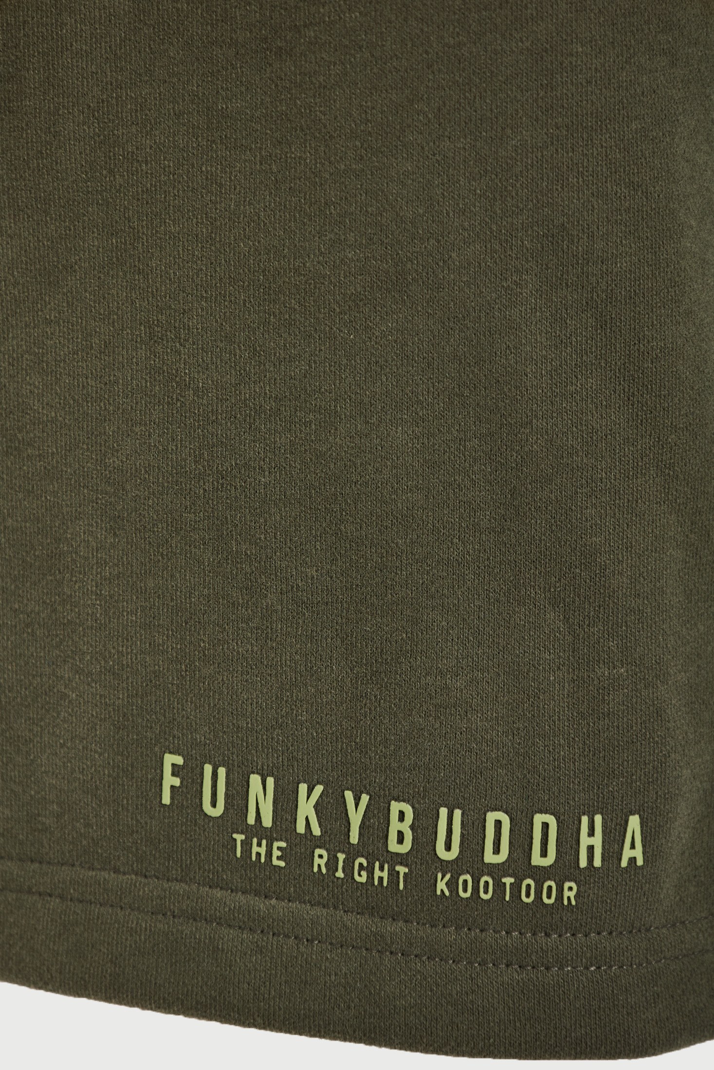 Men's Shorts Funky Buddha Green