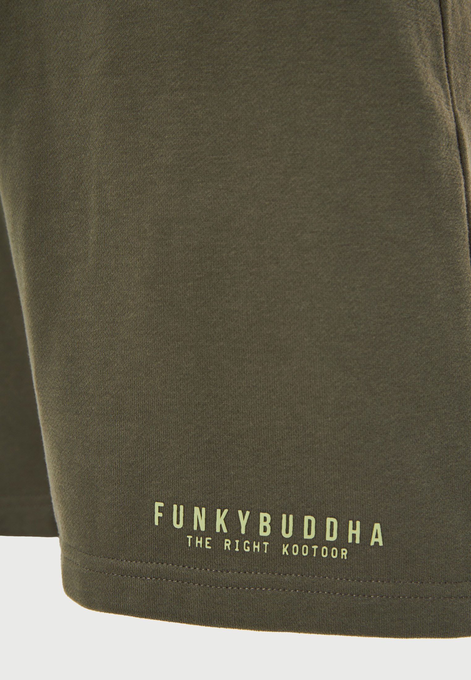 Men's Shorts Funky Buddha Green